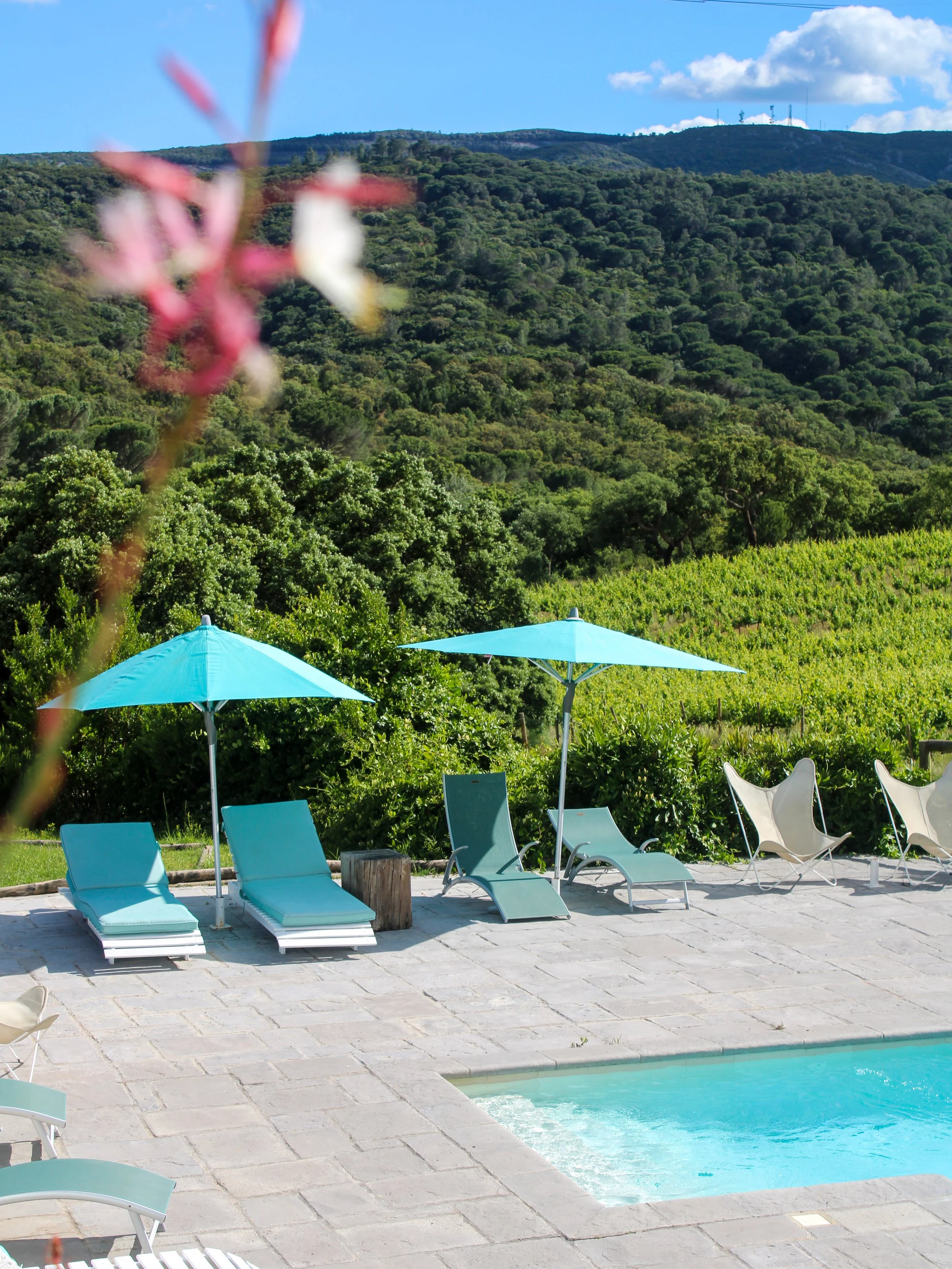 Swimming pool surrounded by vineyards, sun loungers, and panoramic countryside views