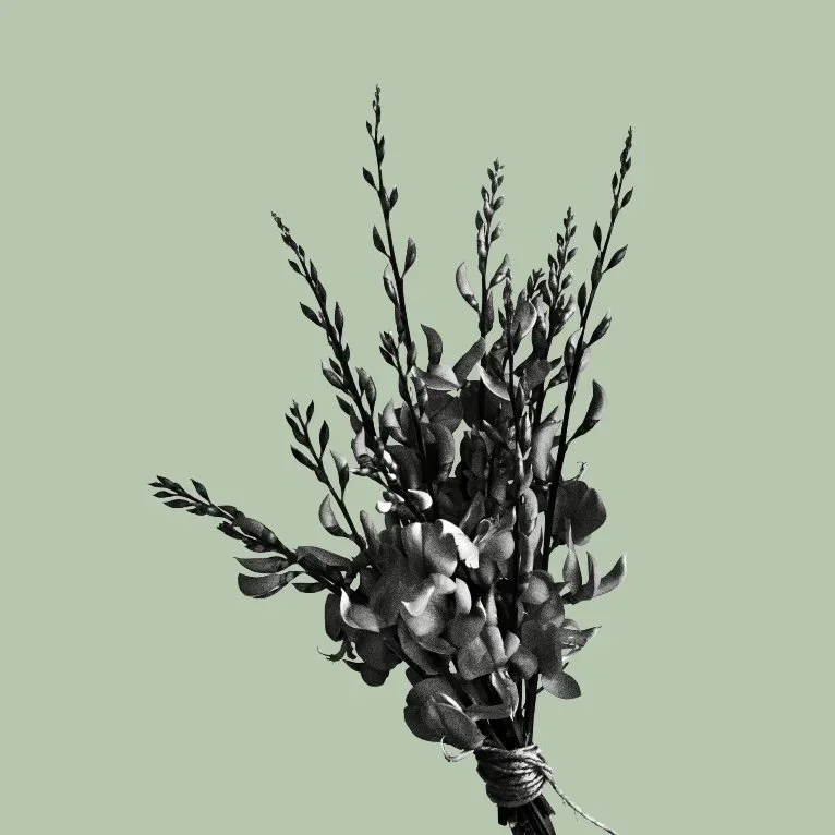 Octant Douro Logo