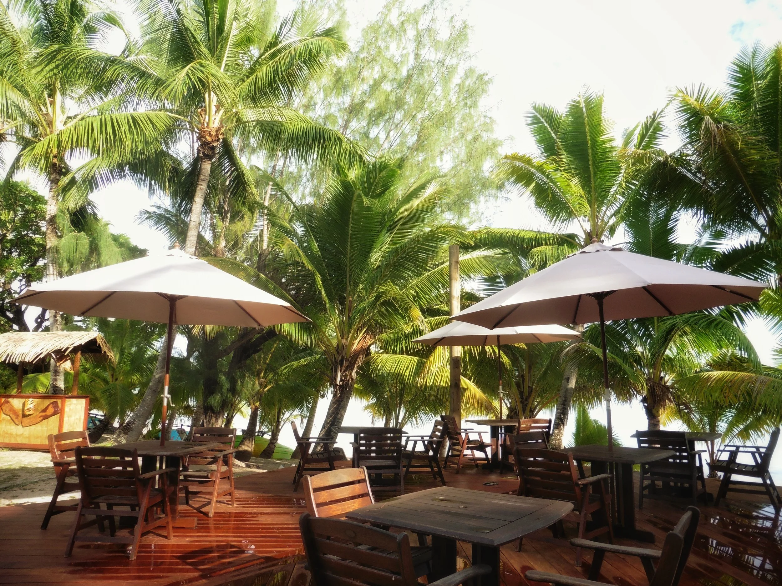 Open-air restaurant terrace surrounded by tropical palms overlooking the beachfront