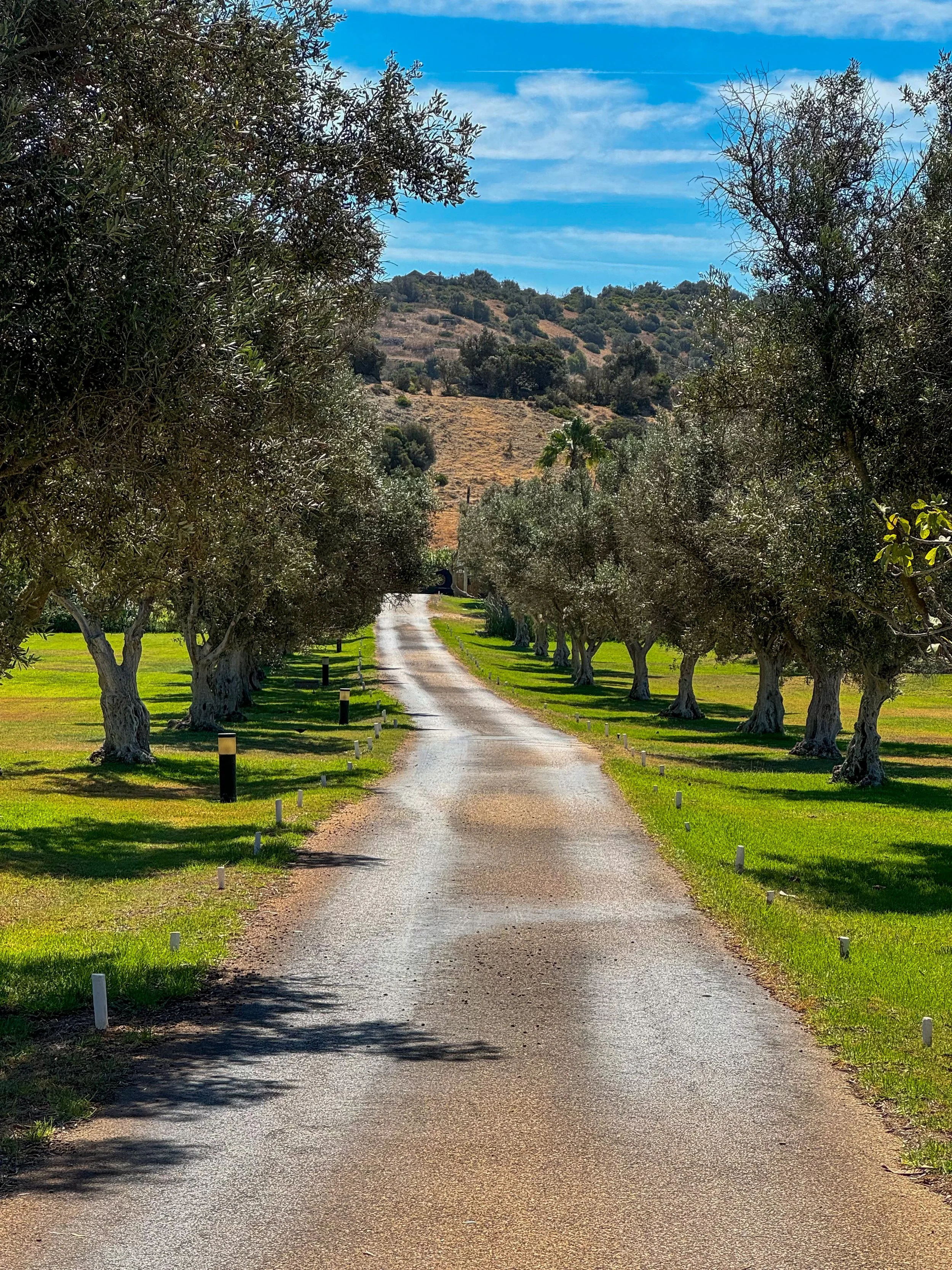 Tree-lined entrance driveway welcoming guests to Vila Valverde in Lagos, Portugal