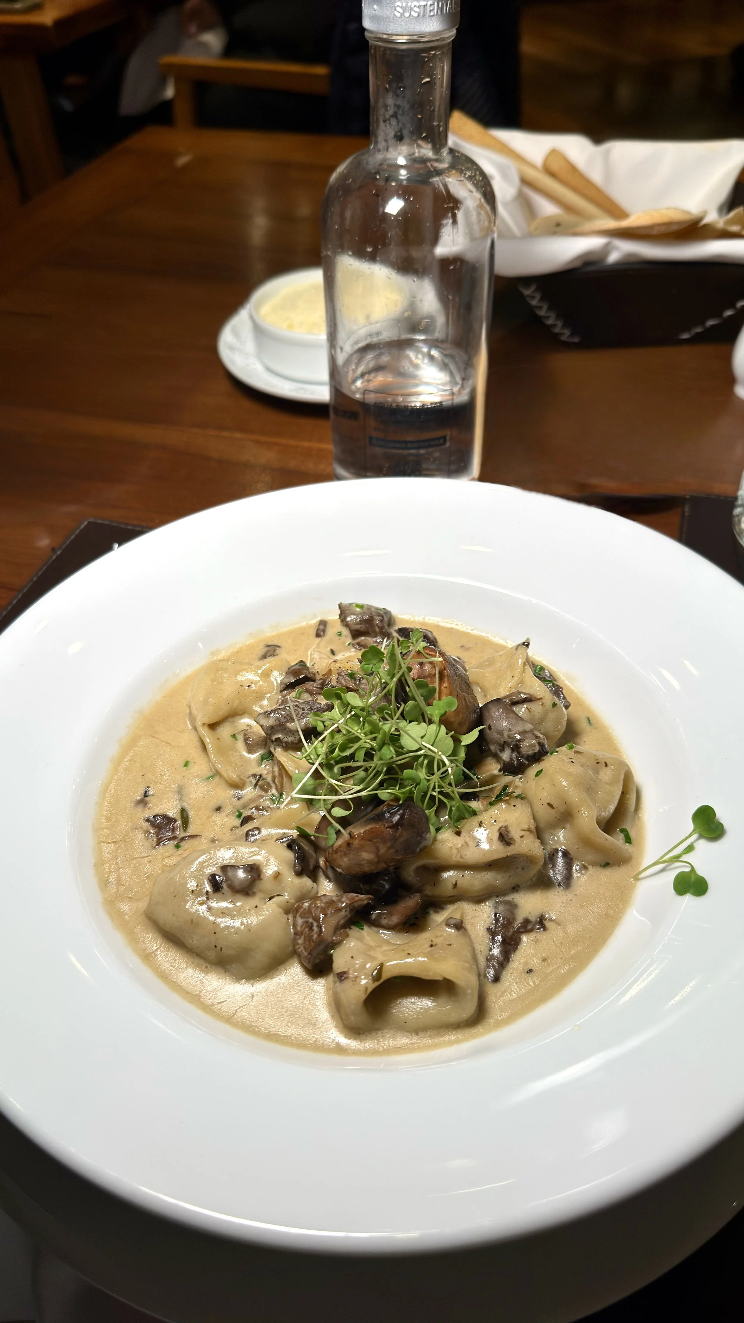 Fresh pasta served in a creamy mushroom sauce with roasted mushrooms, herbs, and microgreens