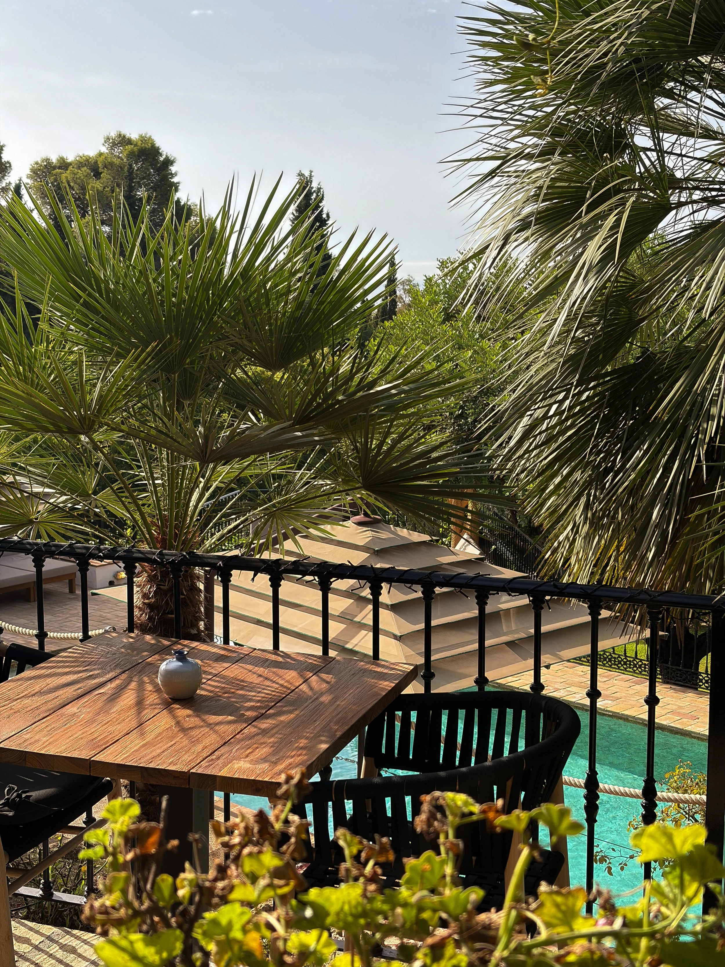 Terrace overlooking the pool with palm trees and peaceful garden views