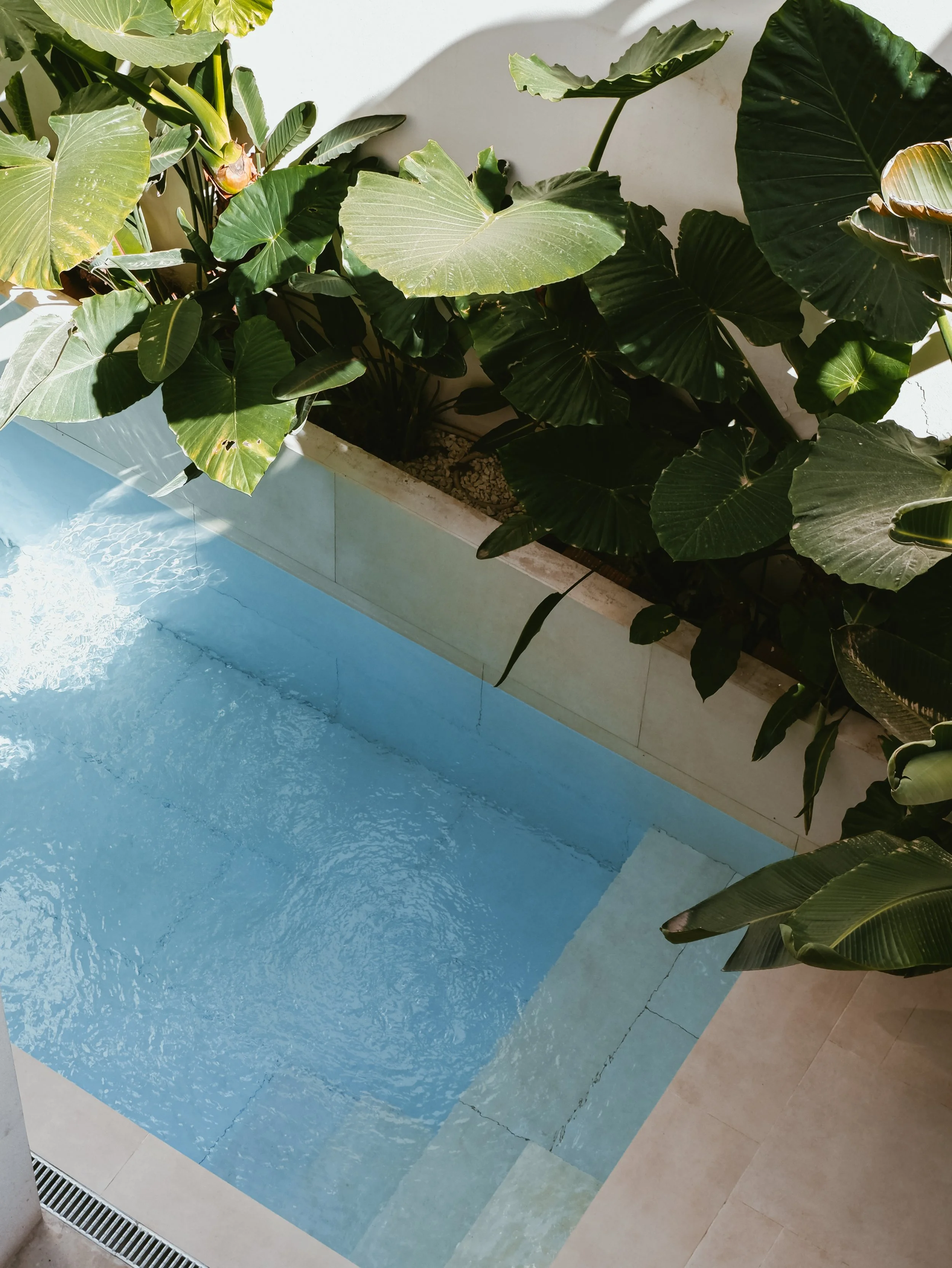 A quiet corner where water, light, and greenery meet in perfect balance, YOURS Boutique València – València, Spain.