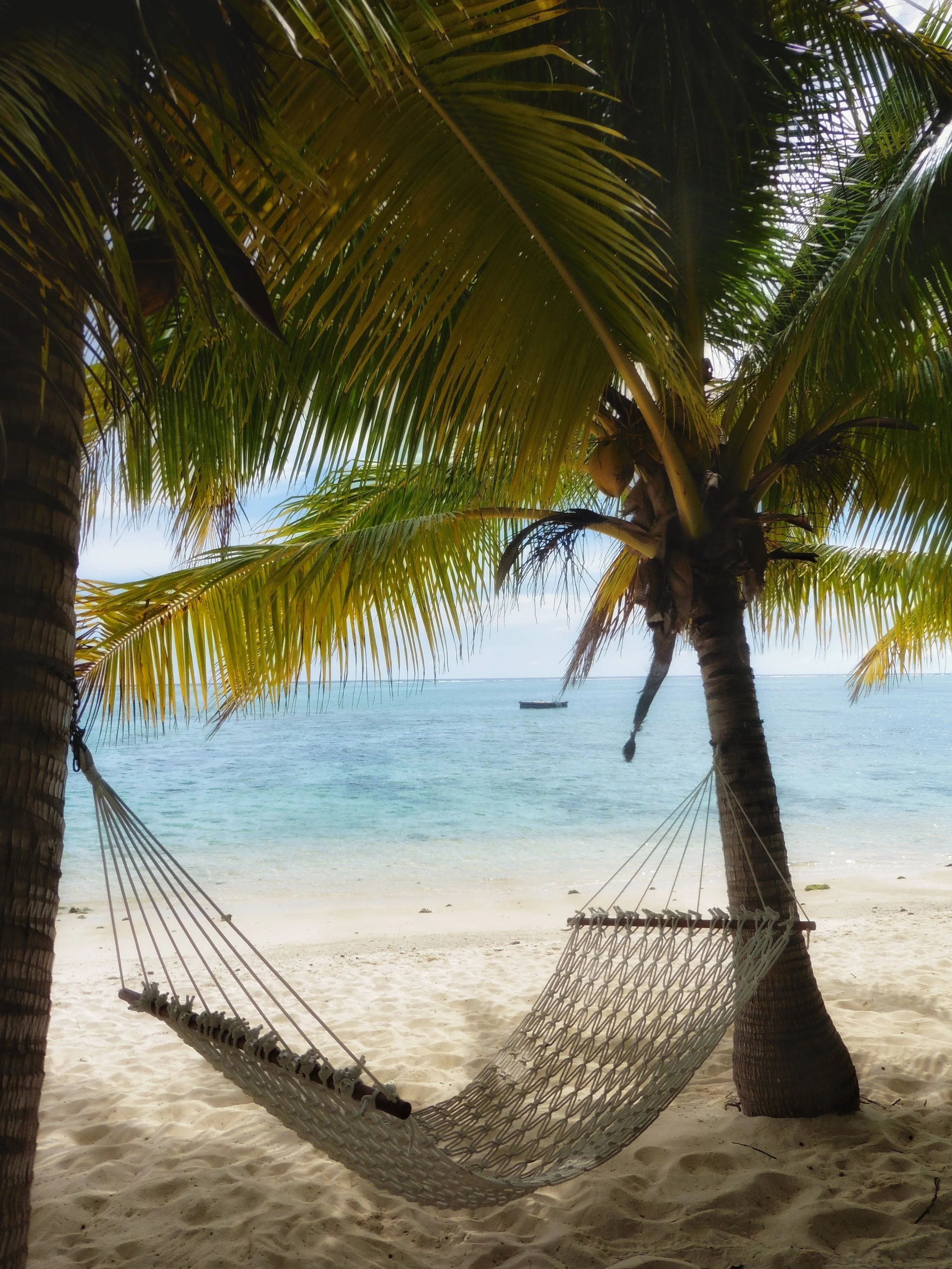 Hammock between palm trees overlooking the turquoise lagoon at Tamanu Beach Resort in Aitutaki