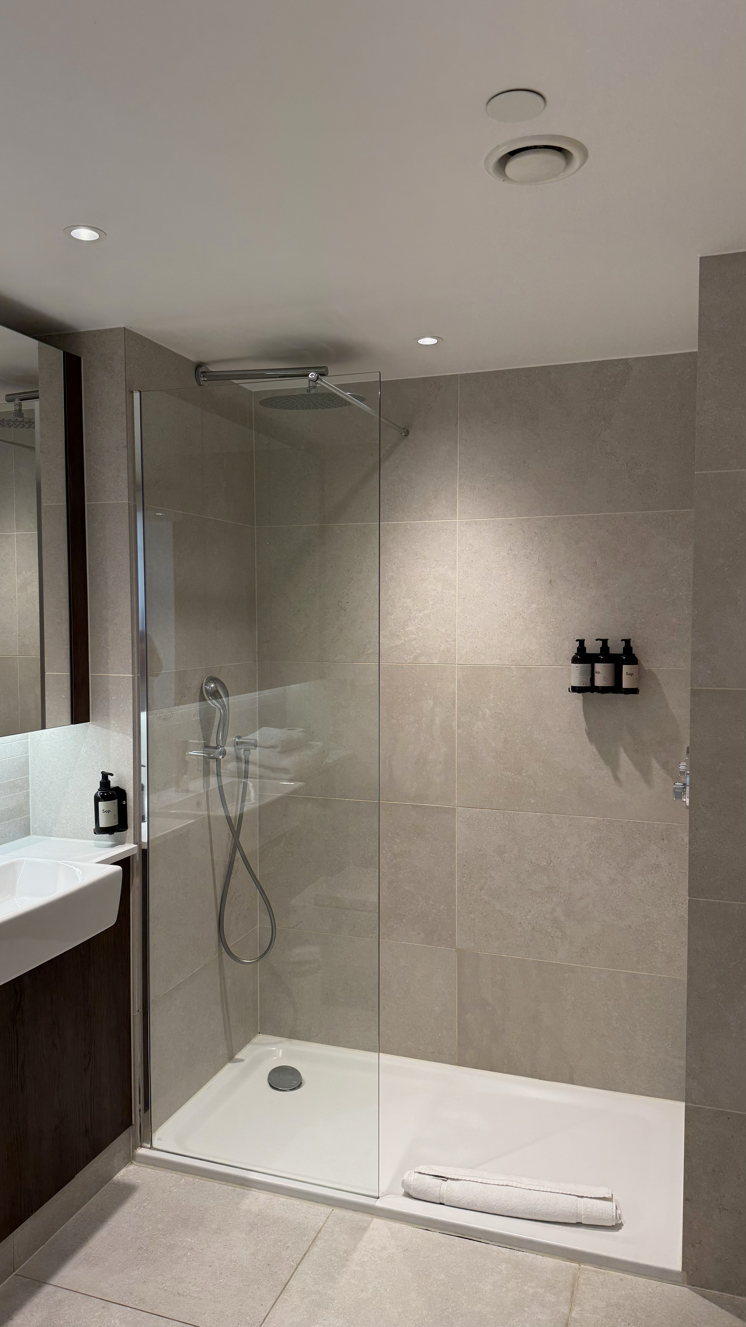 Minimalist walk-in rainfall shower with sleek modern bathroom design