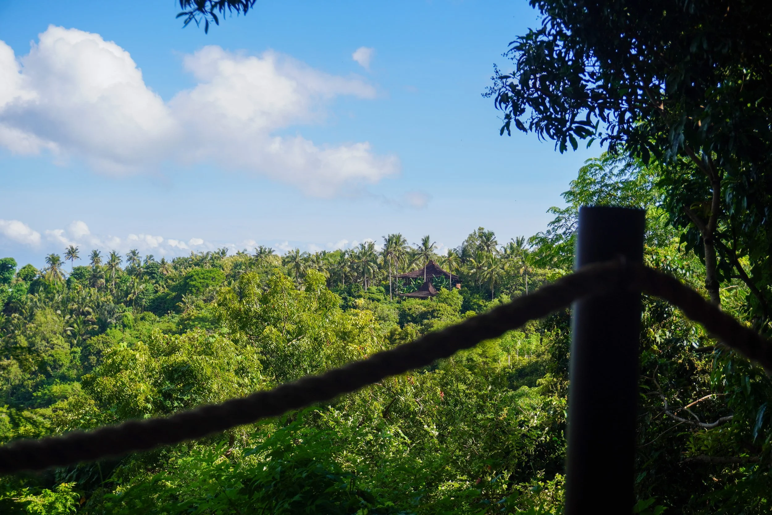Lush jungle canopy stretching to the horizon, where nature feels endless and untouched, Autentik Penida – Nusa Penida, Bali.
