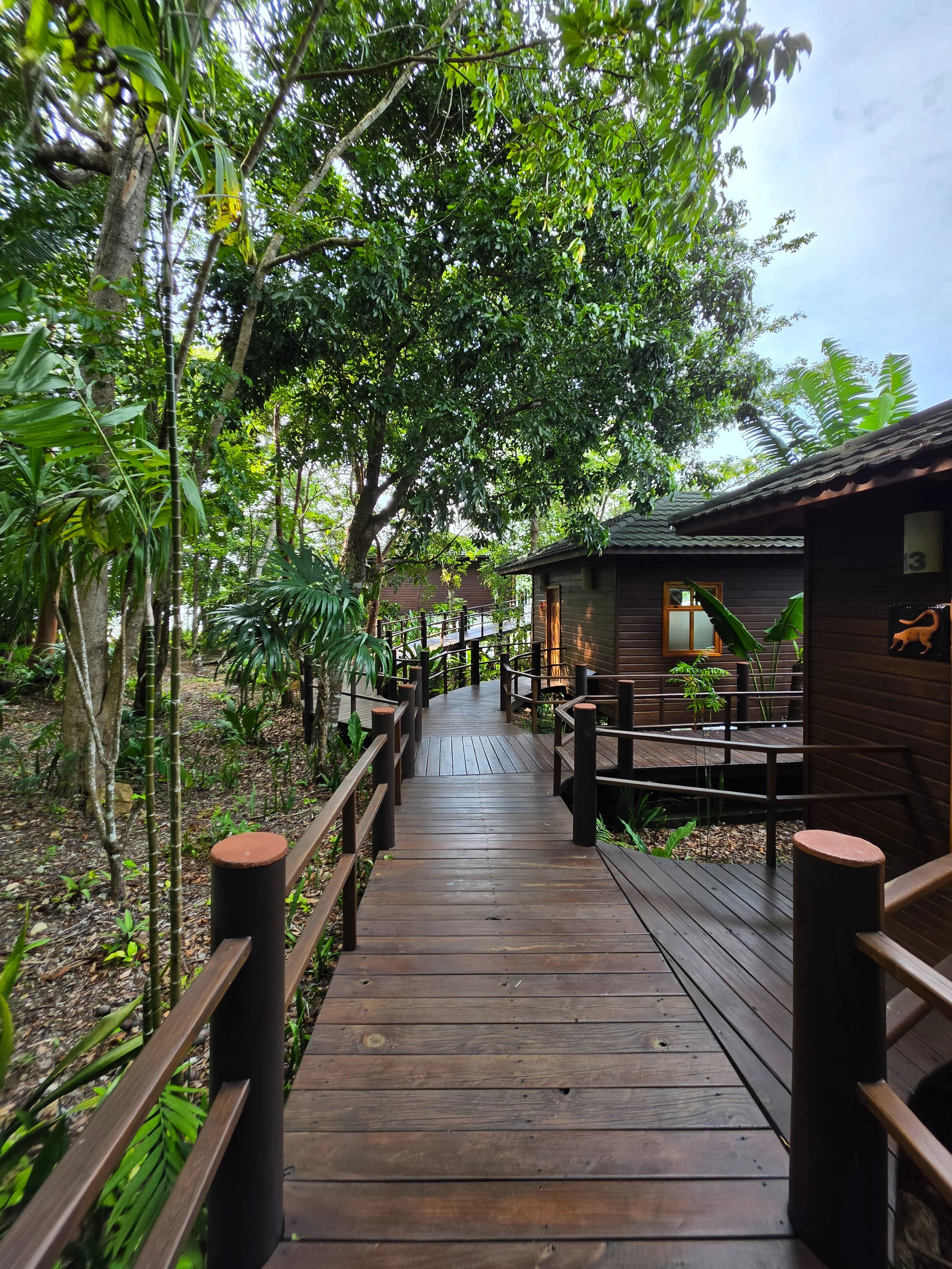 Wooden walkways connecting secluded waterfront suites through lush rainforest