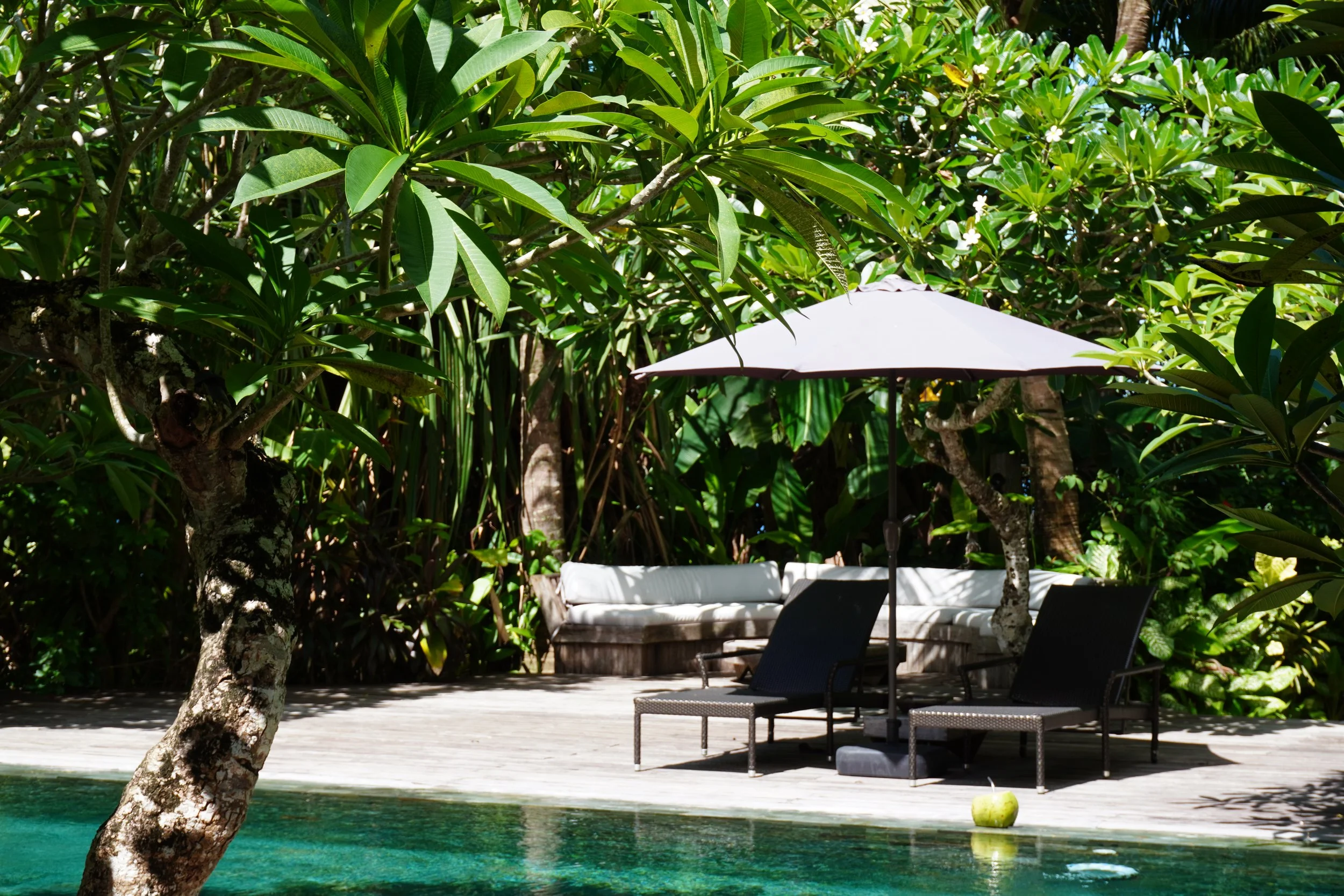 Sun loungers and shaded seating surrounded by lush gardens beside the tranquil pool