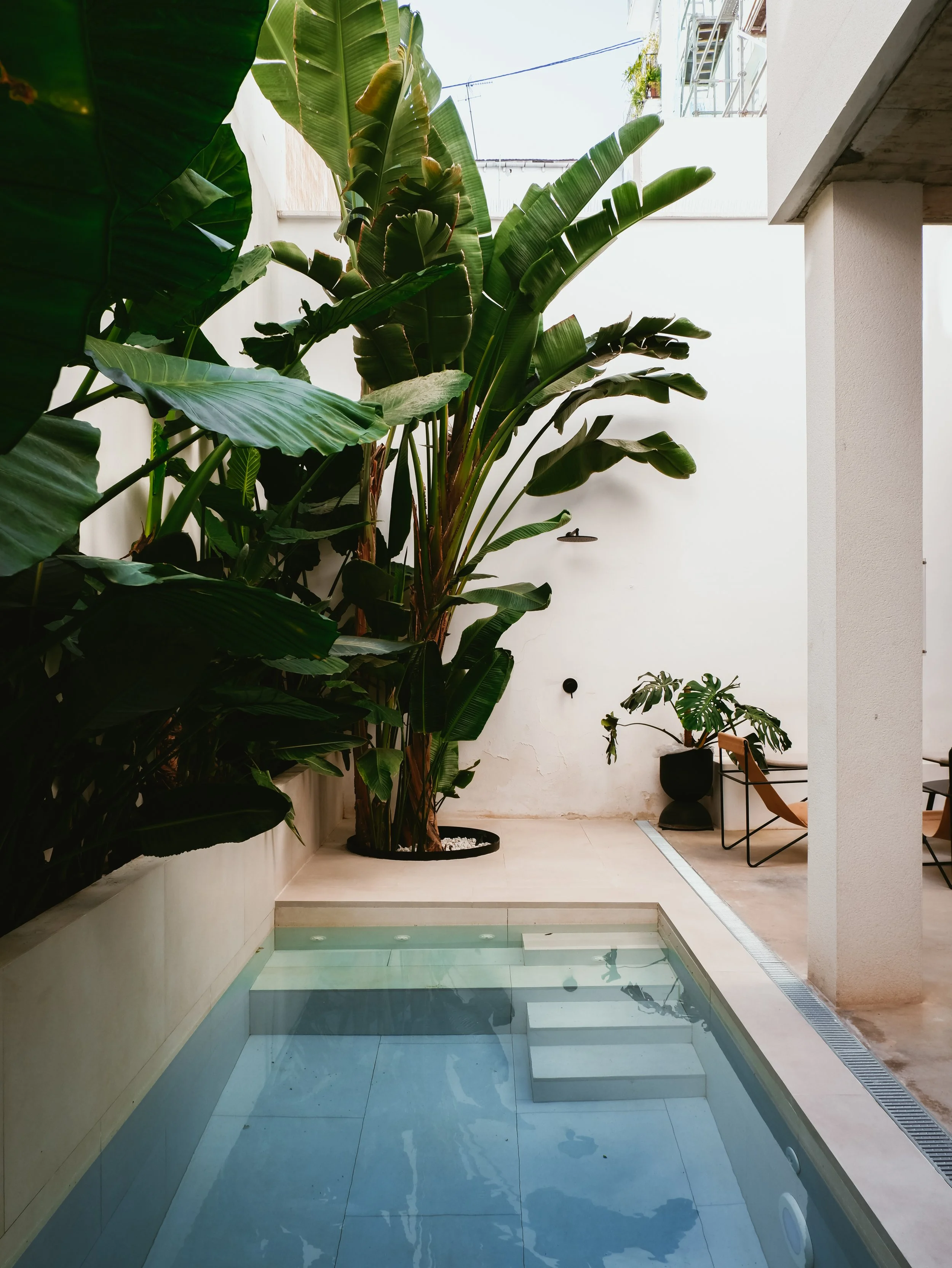 Peaceful courtyard plunge pool framed by Mediterranean greenery and contemporary architecture