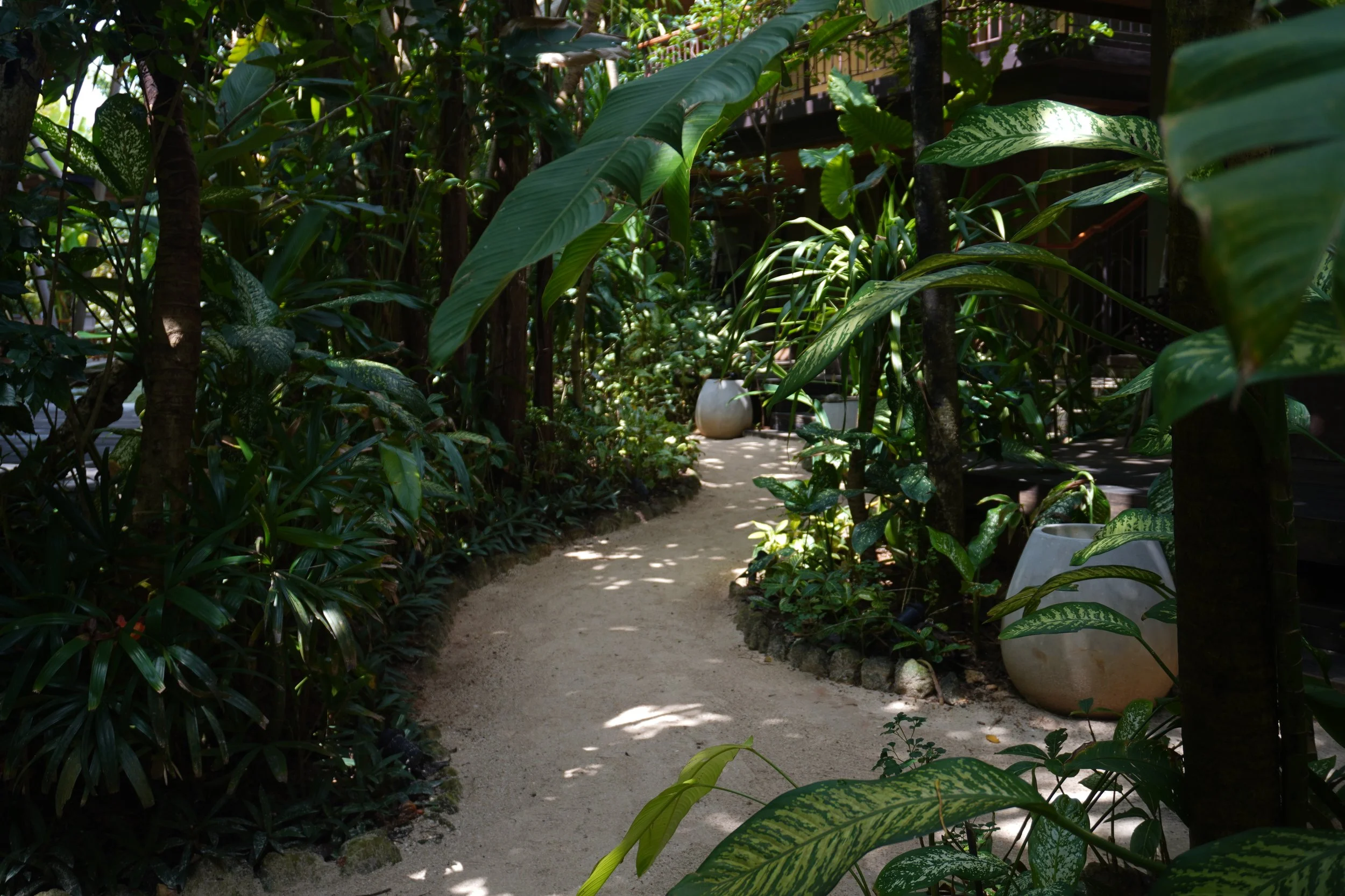 Lush garden pathways connecting the boutique hotel's serene spaces