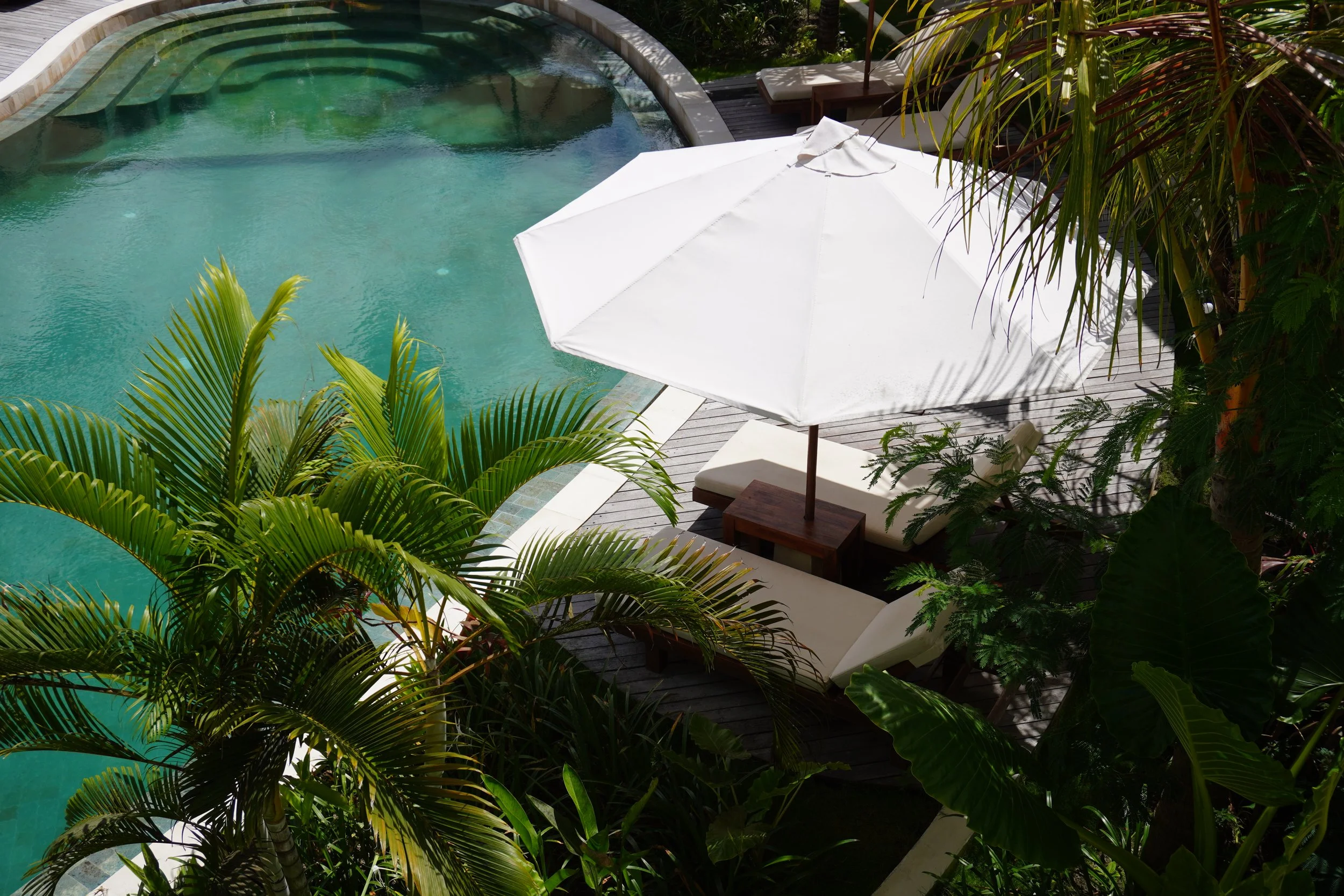 Tropical swimming pool surrounded by lush gardens and relaxing sun loungers