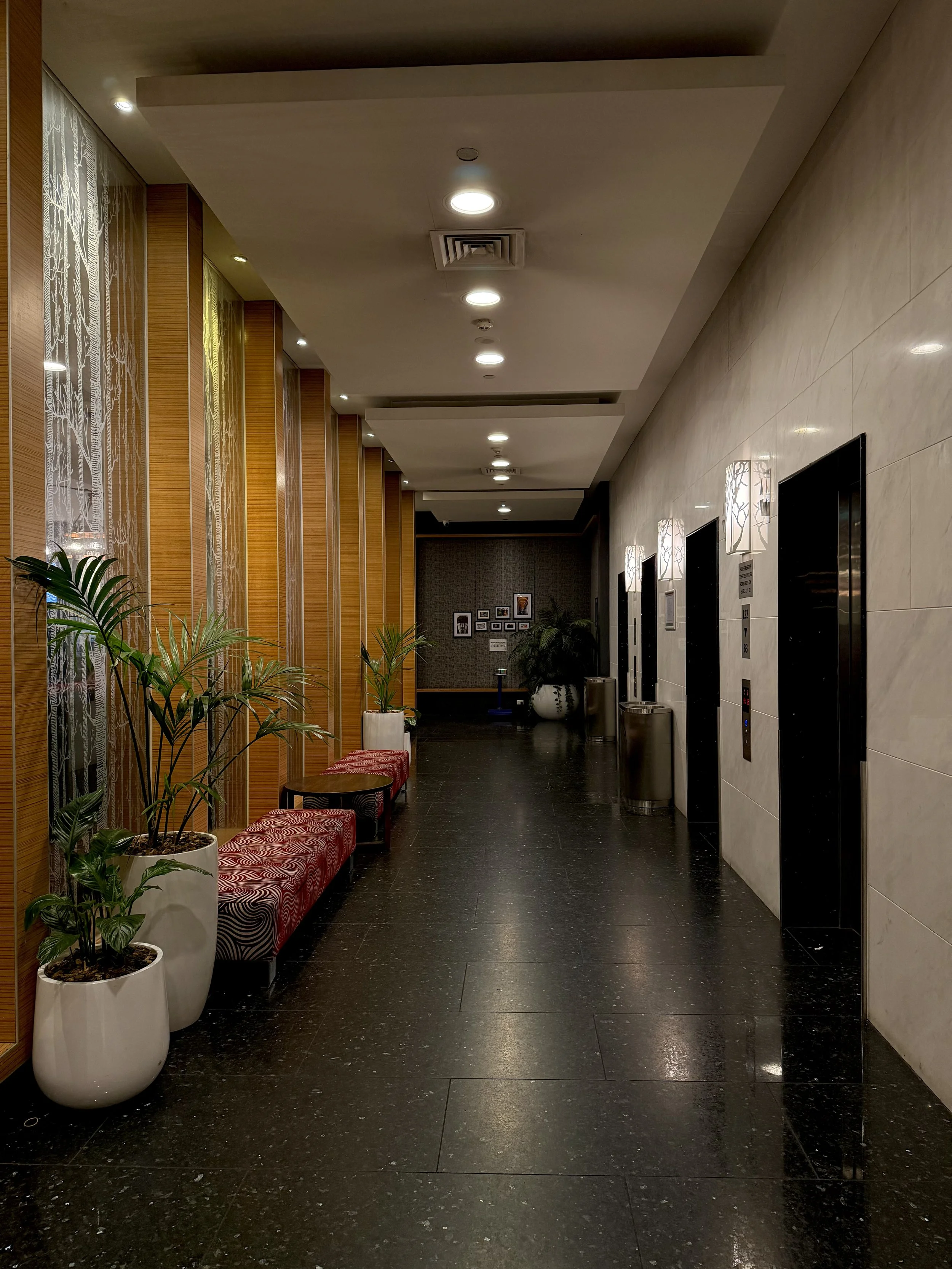 Modern hotel corridor featuring polished dark floors, decorative wall panels, indoor plants, and patterned seating