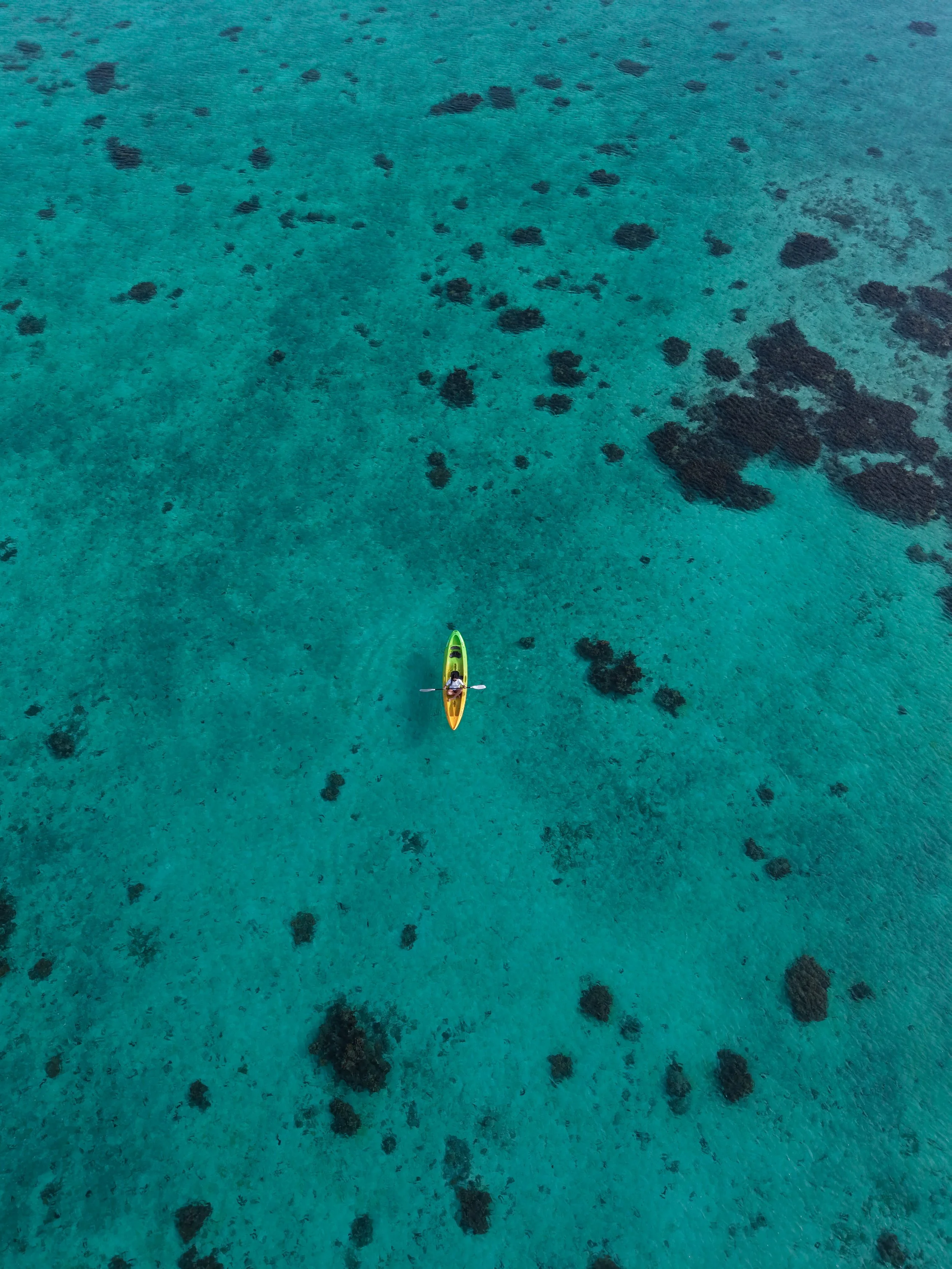 Aerial view of crystal-clear lagoon waters with kayaking experience in Aitutaki, Cook Islands