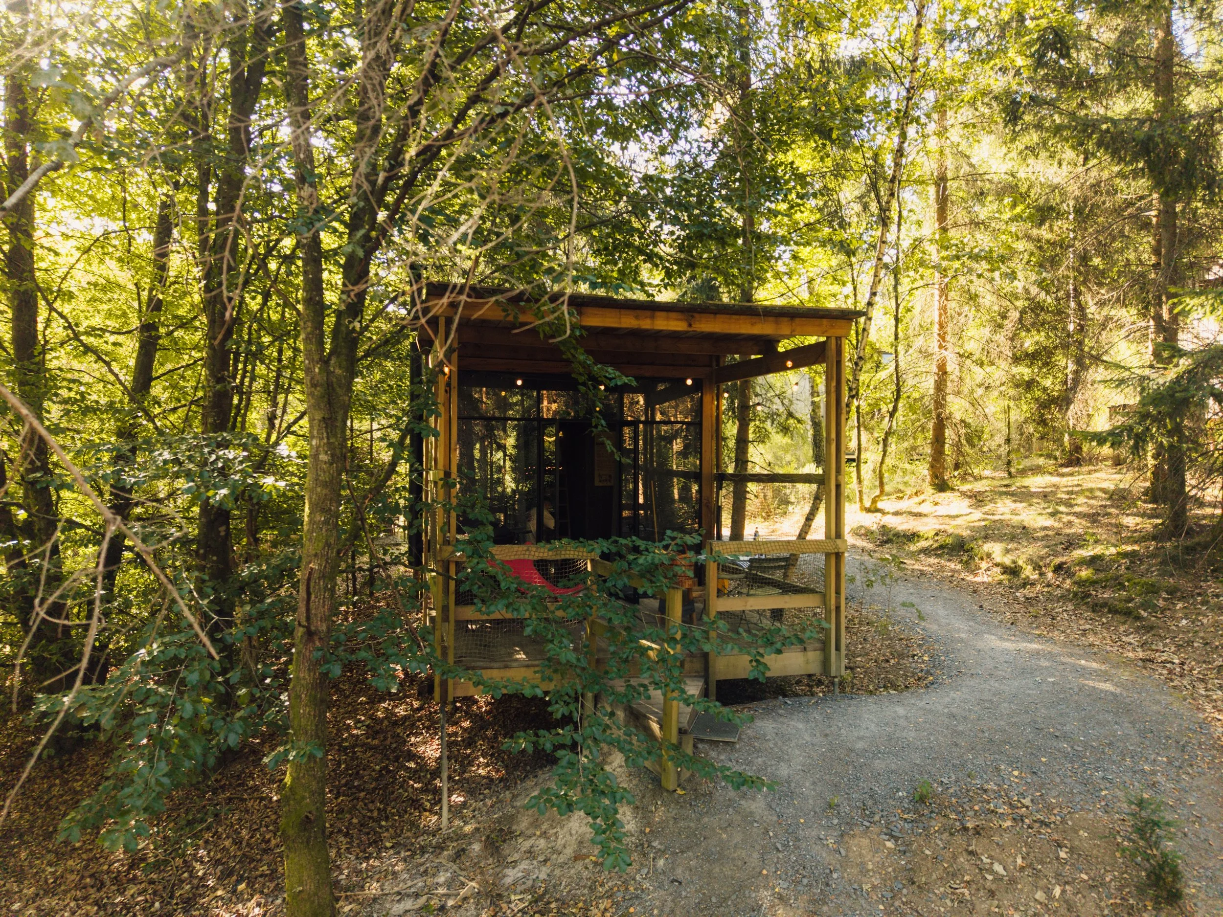 Woodland cabin tucked among the trees with a peaceful forest setting