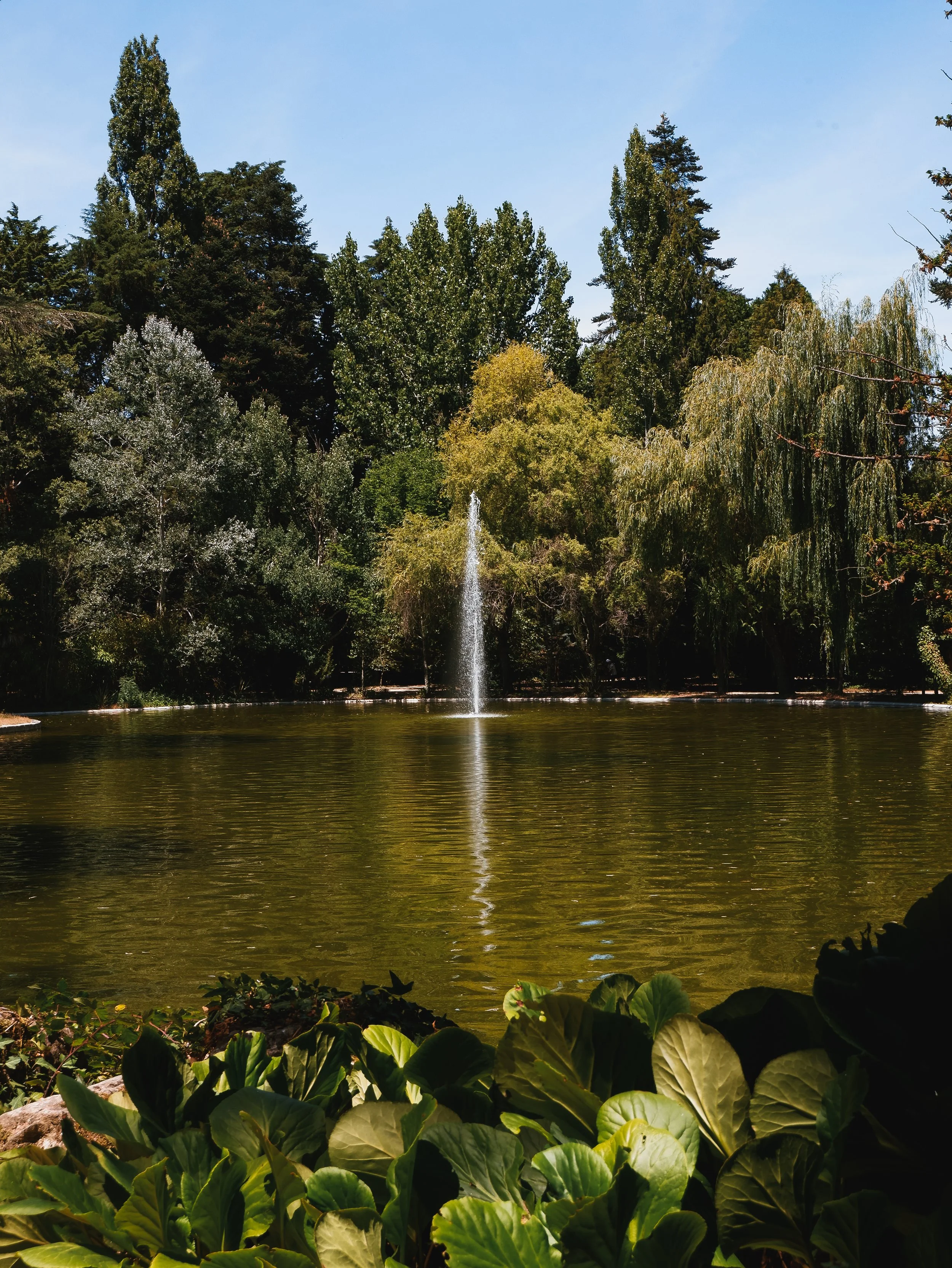 Peaceful lake with a central fountain surrounded by mature trees and landscaped gardens