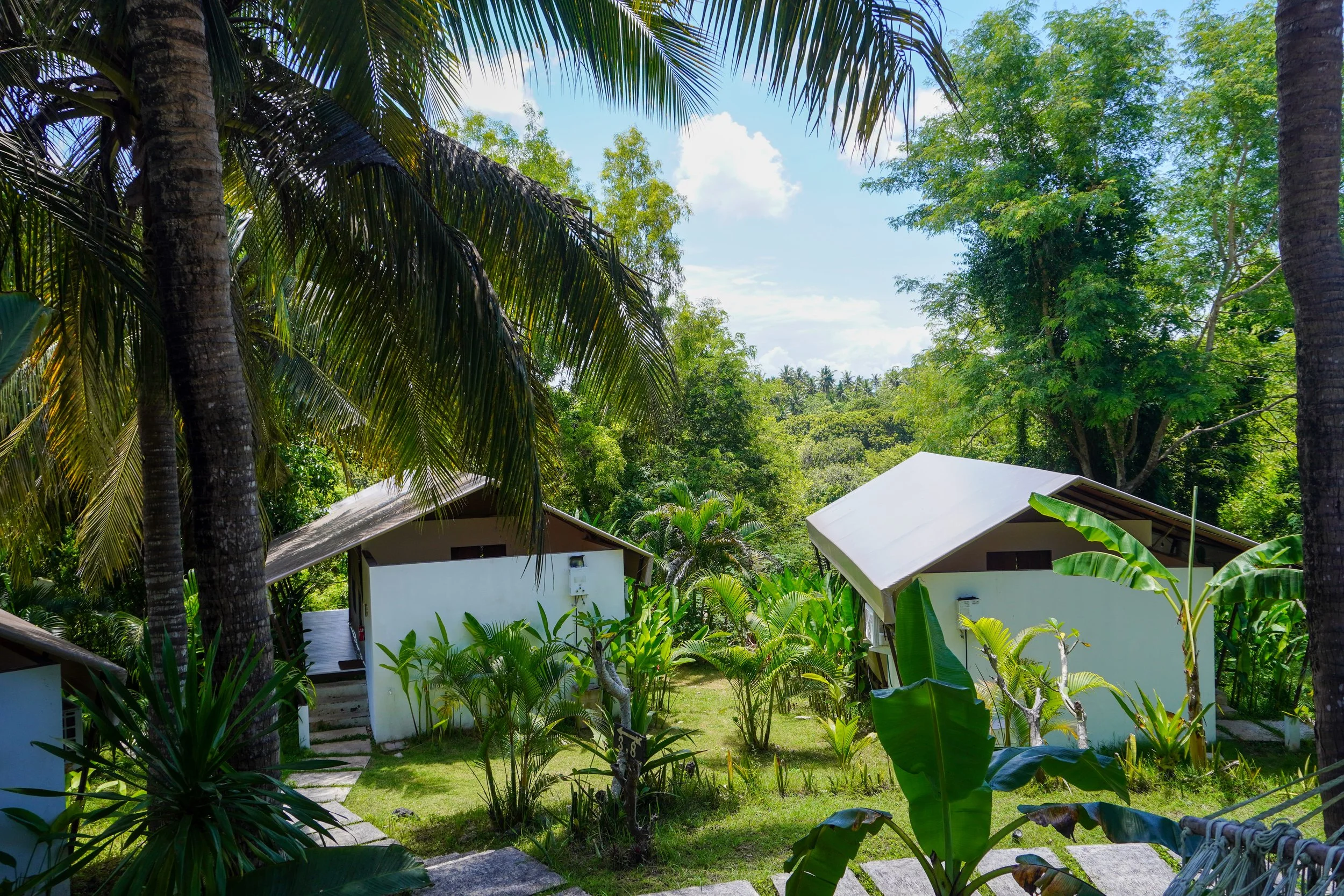 Sunlight filtering through palm leaves, casting soft shadows across a tranquil poolside escape, Autentik Penida – Nusa Penida, Bali.