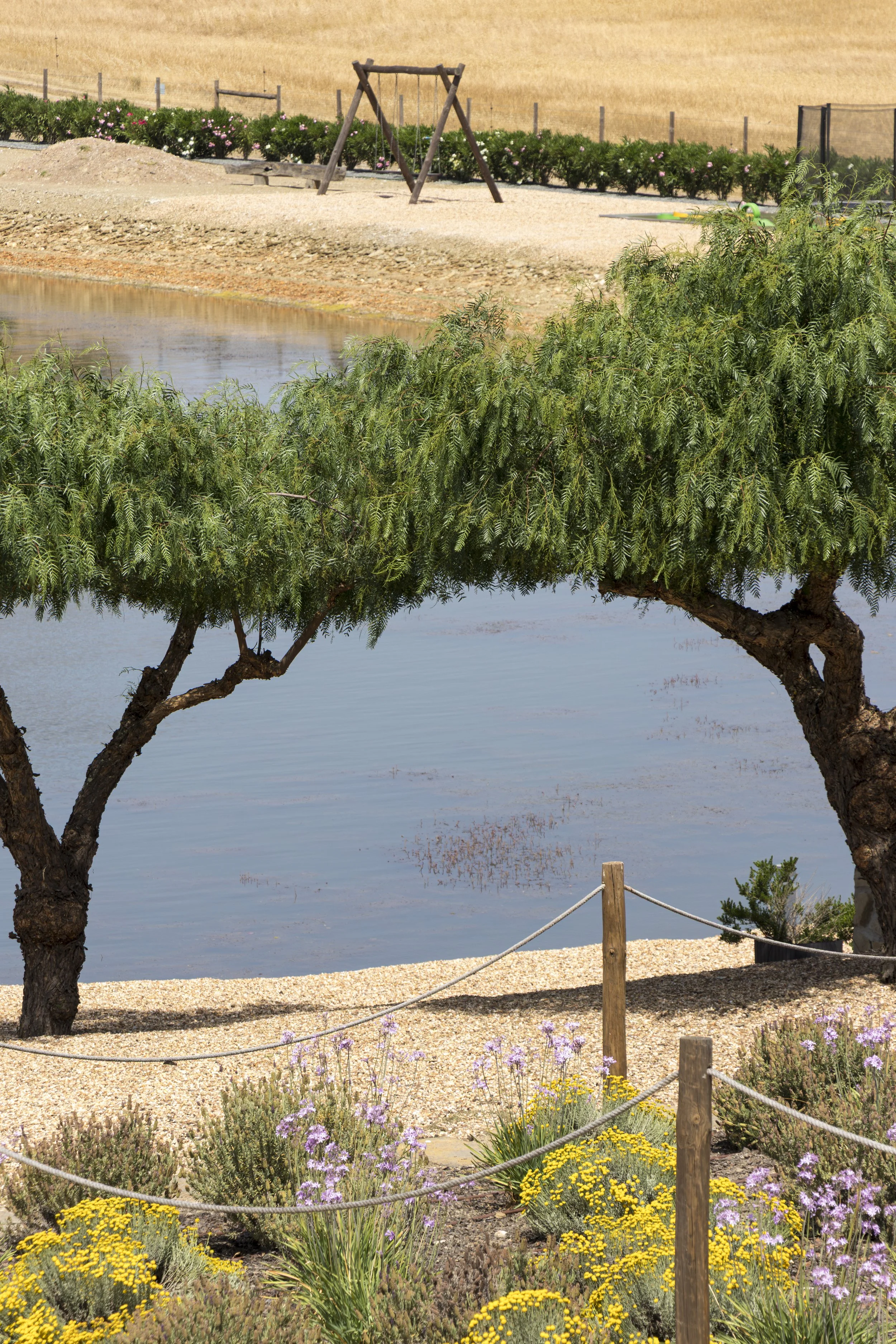 Lush lakeside gardens with native vegetation creating a peaceful setting beside the water