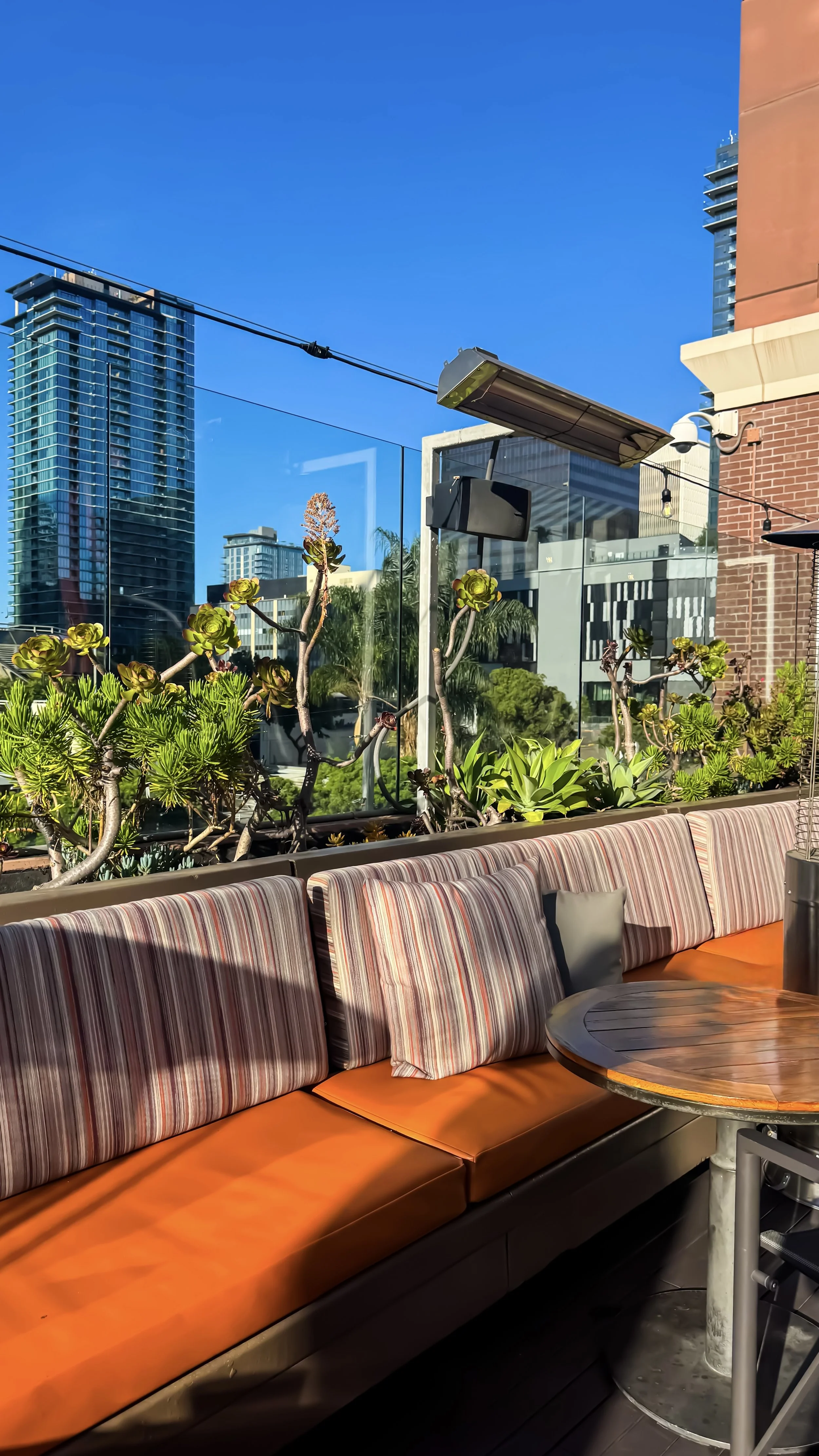 Rooftop seating with succulents, glass railing, and panoramic urban views under clear blue skies, Hotel Republic San Diego – San Diego, California.