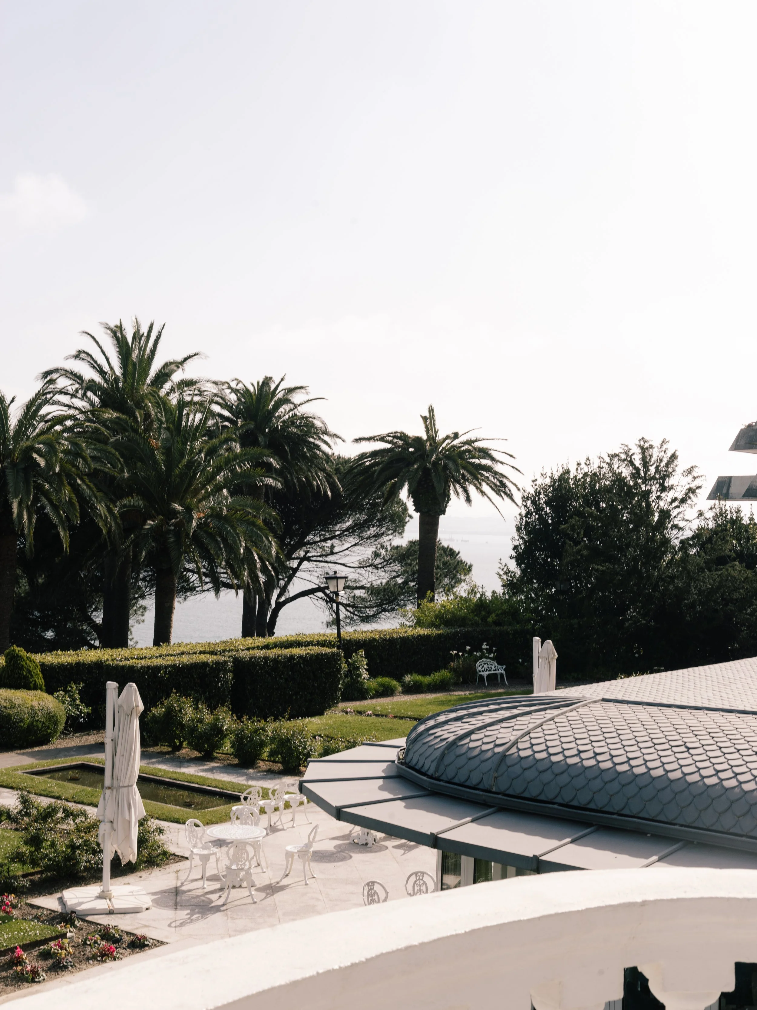 Elevated garden view overlooking palm trees and Santander Bay