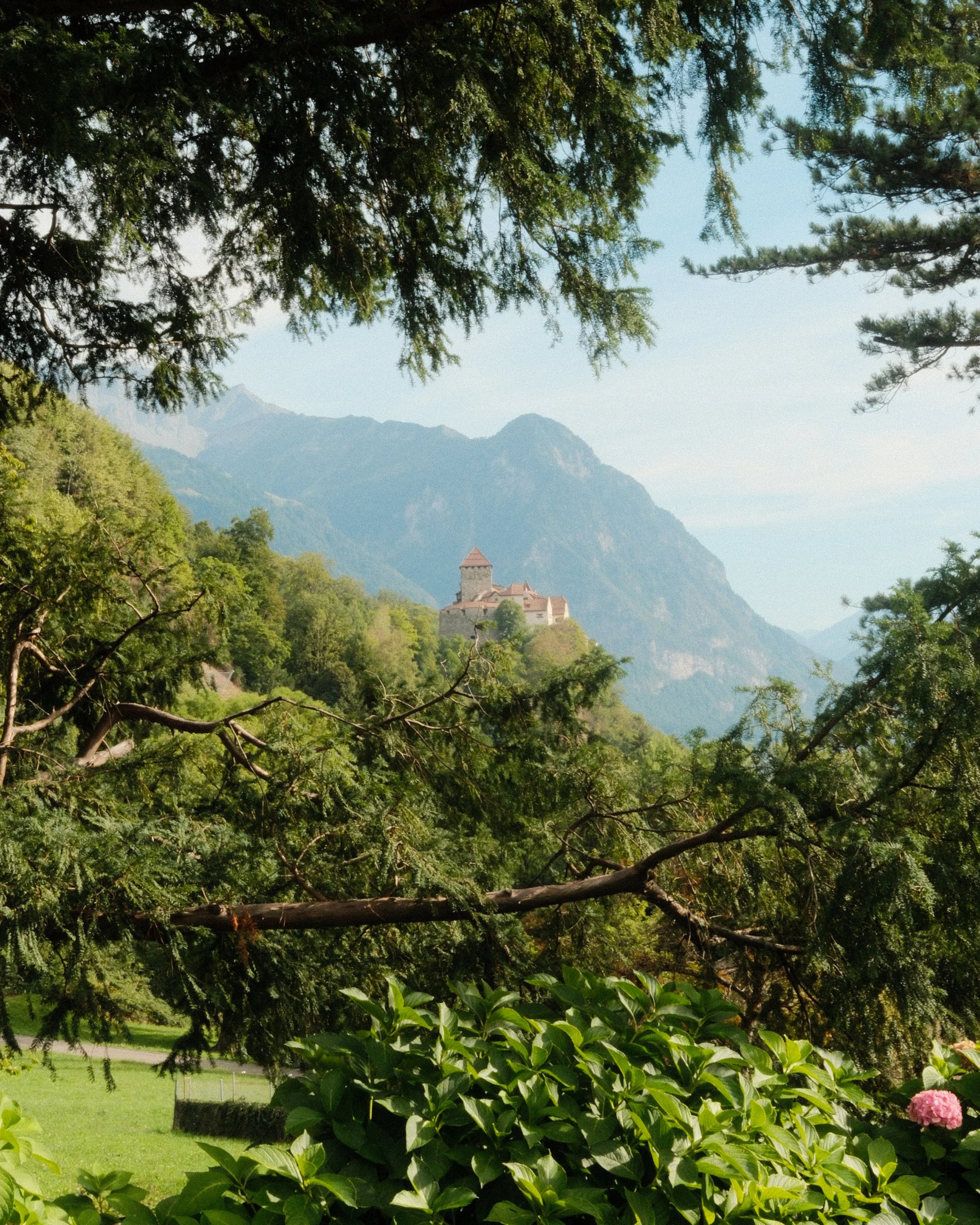 Vaduz Castle overlooking the valley framed by lush Alpine greenery