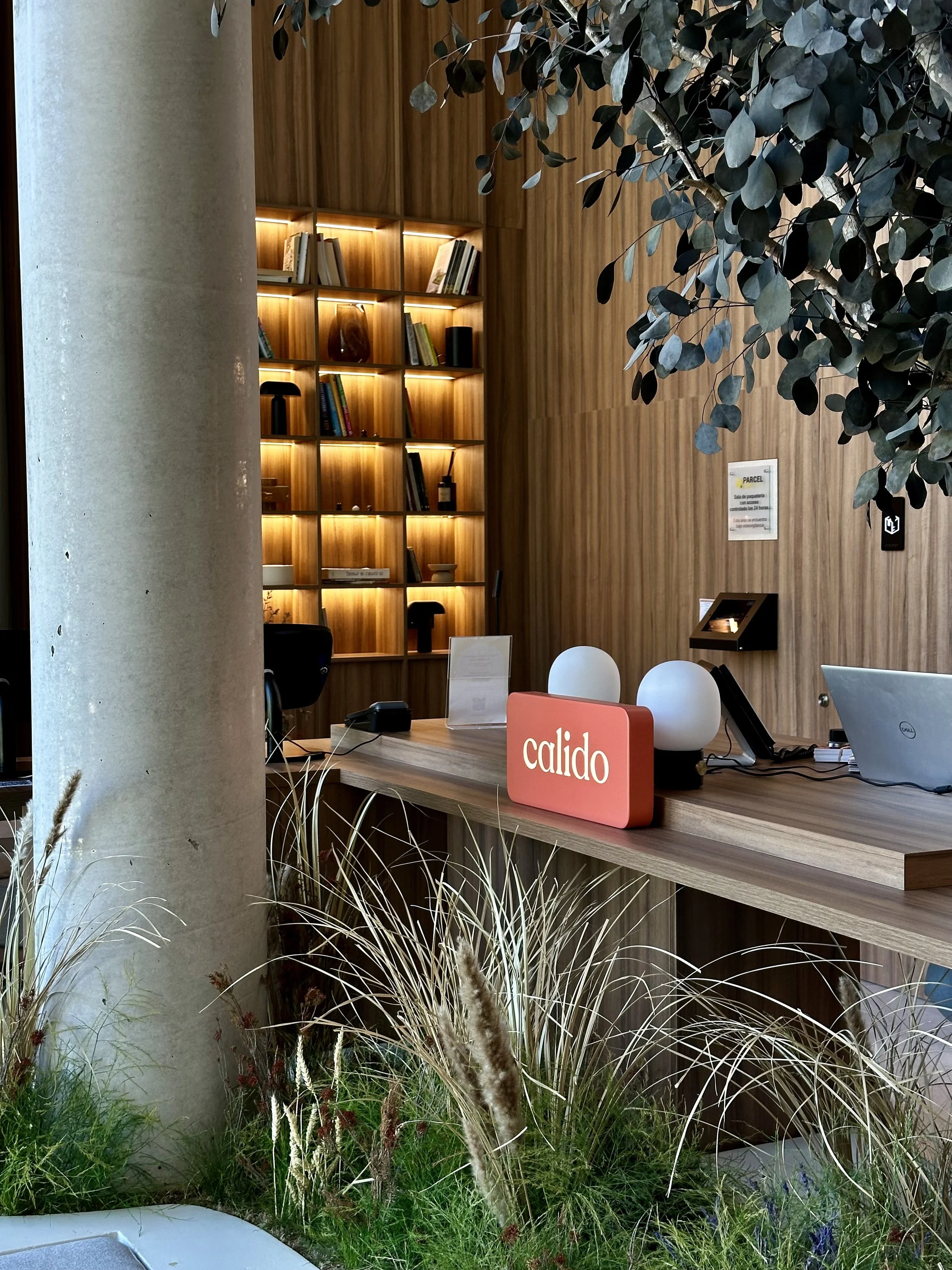 Warm reception area with contemporary design and welcoming atmosphere