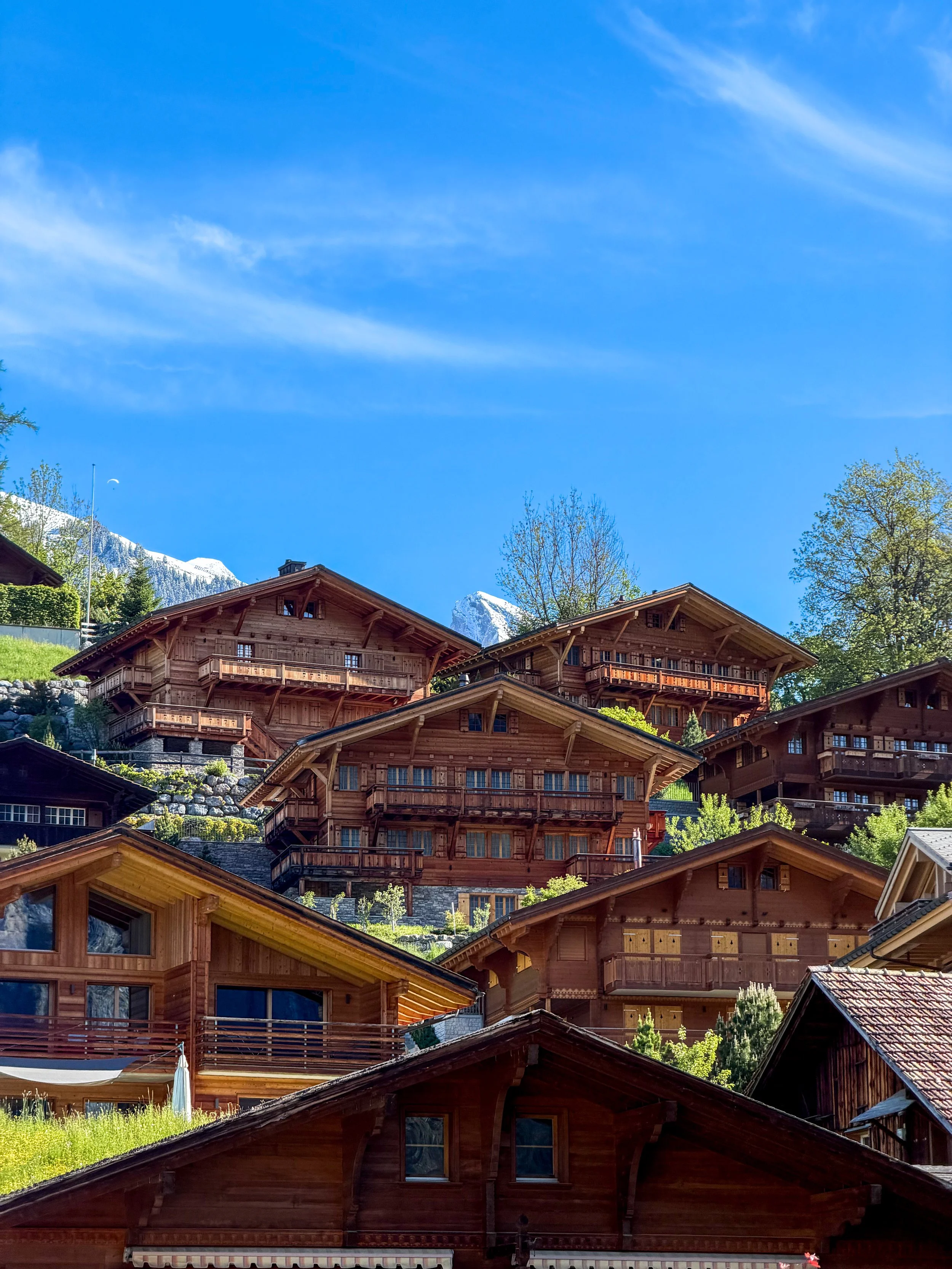 Eiger Mountain & Soul Resort - Grindelwald, Switzerland