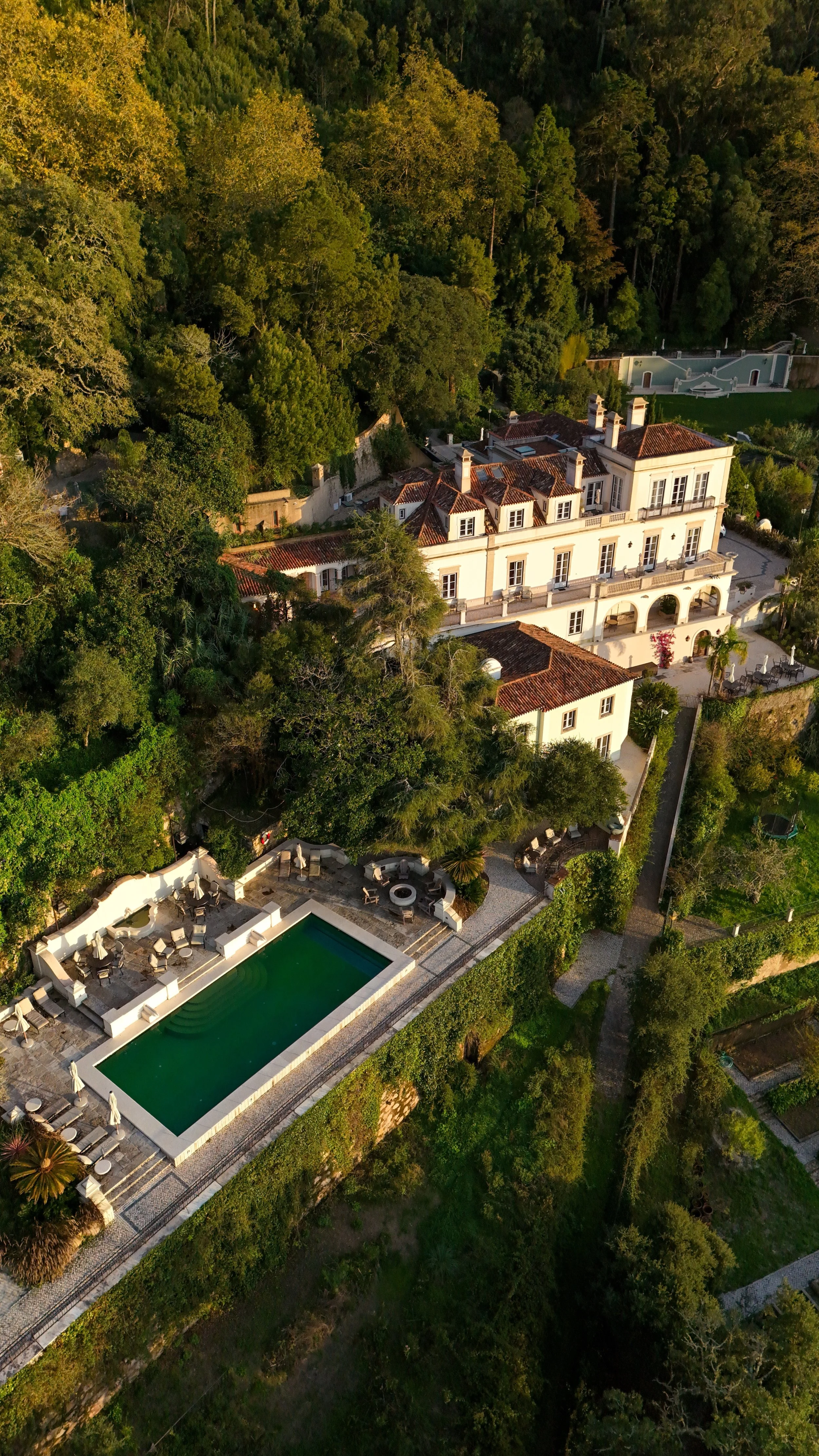 A hillside estate surrounded by woodland, terracotta rooftops, and a serene swimming pool