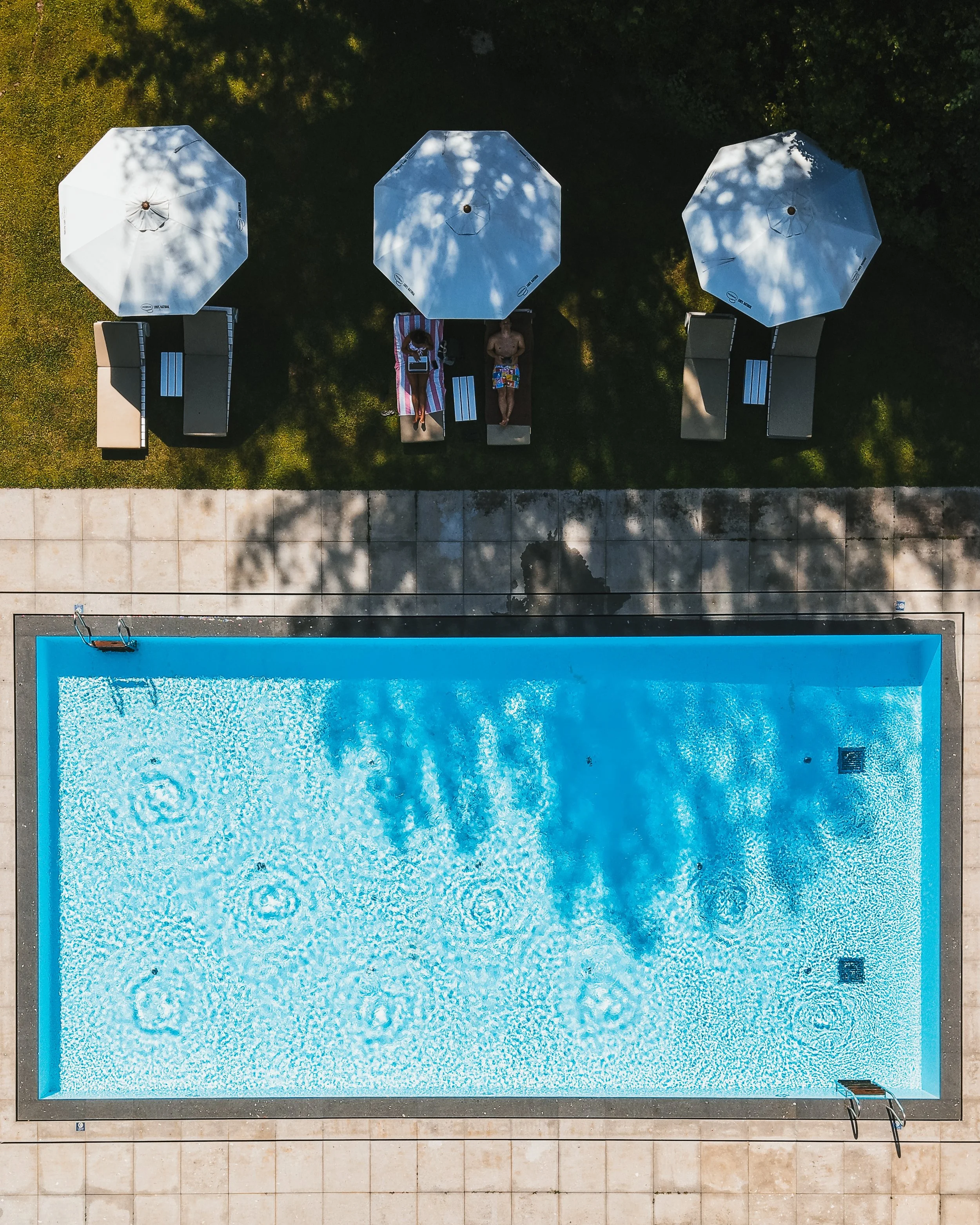 Aerial view of the outdoor swimming pool with sun loungers and peaceful garden surroundings