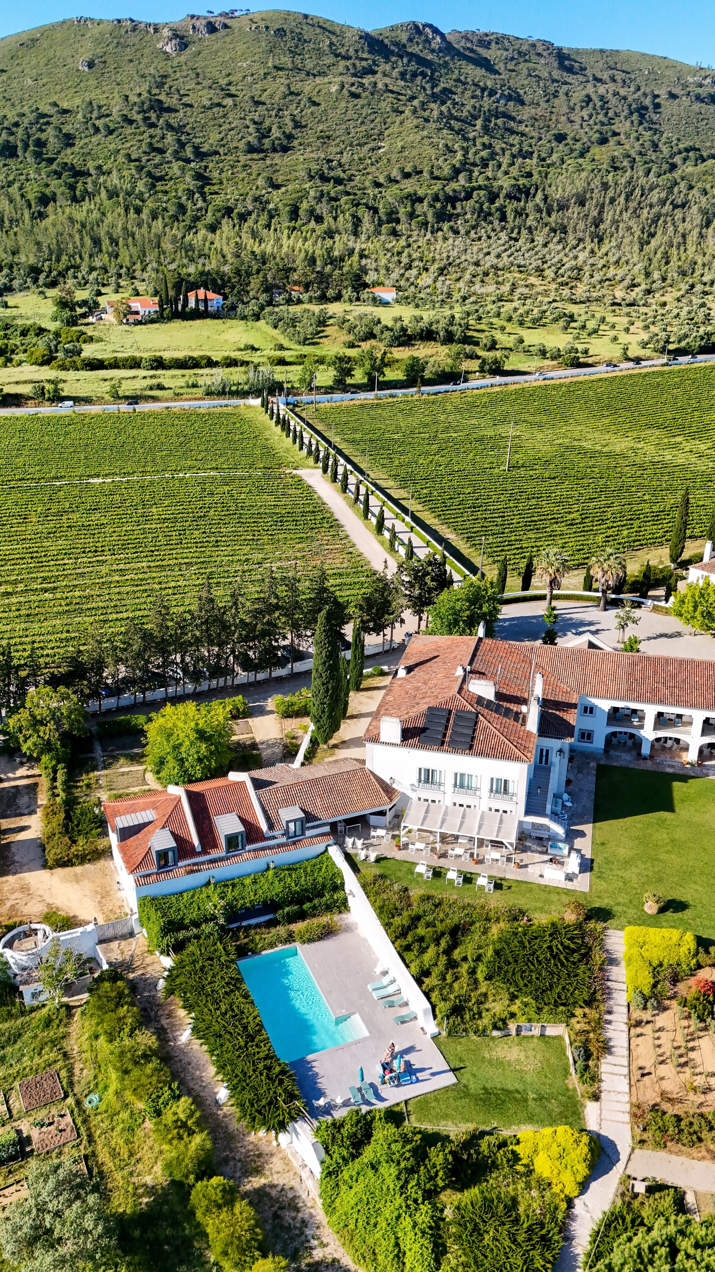 Aerial view of Hotel Casa Palmela surrounded by vineyards, gardens, and the Arrábida landscape