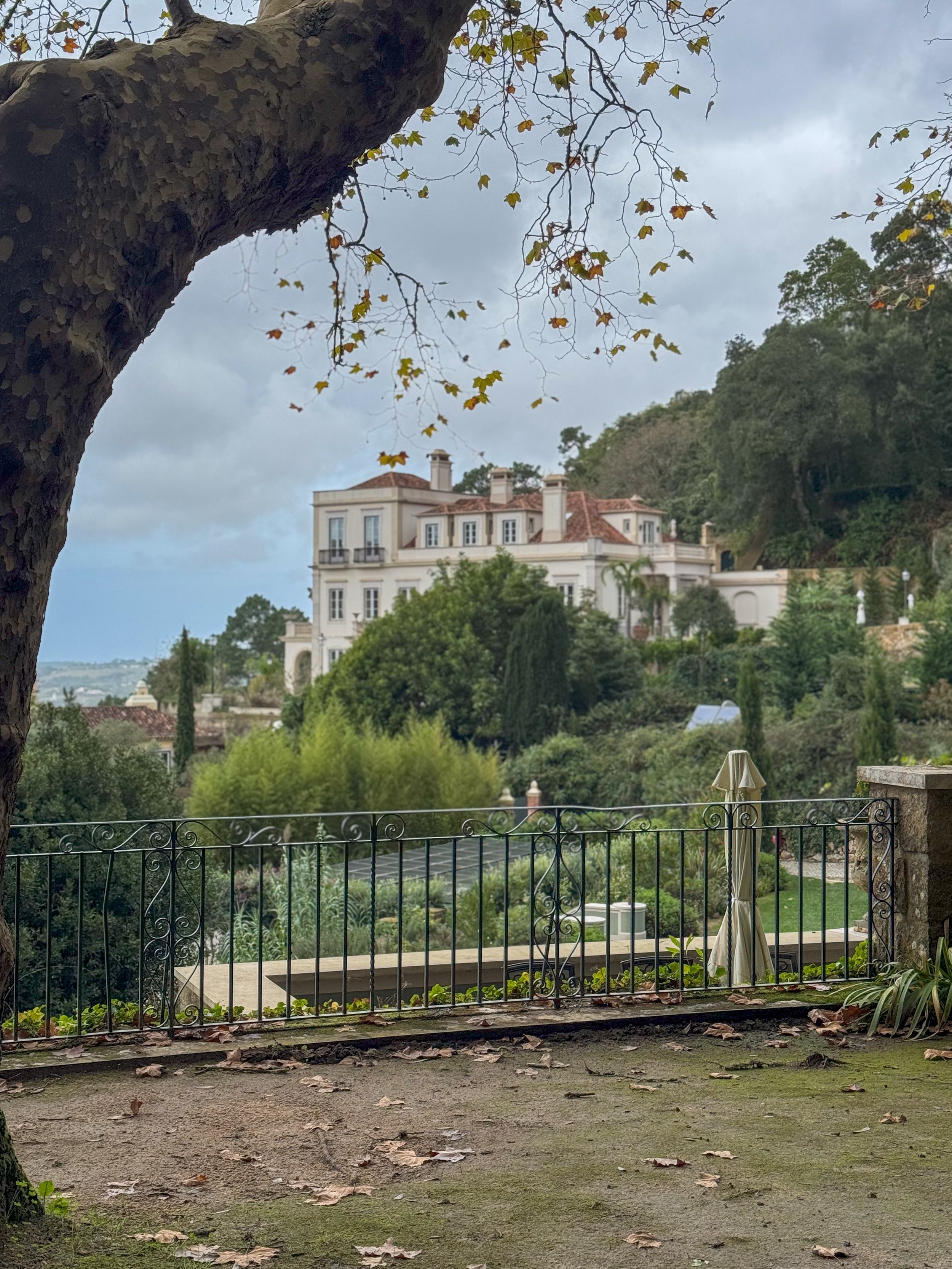 A terrace view captures the estate across layered gardens and misty Sintra hills