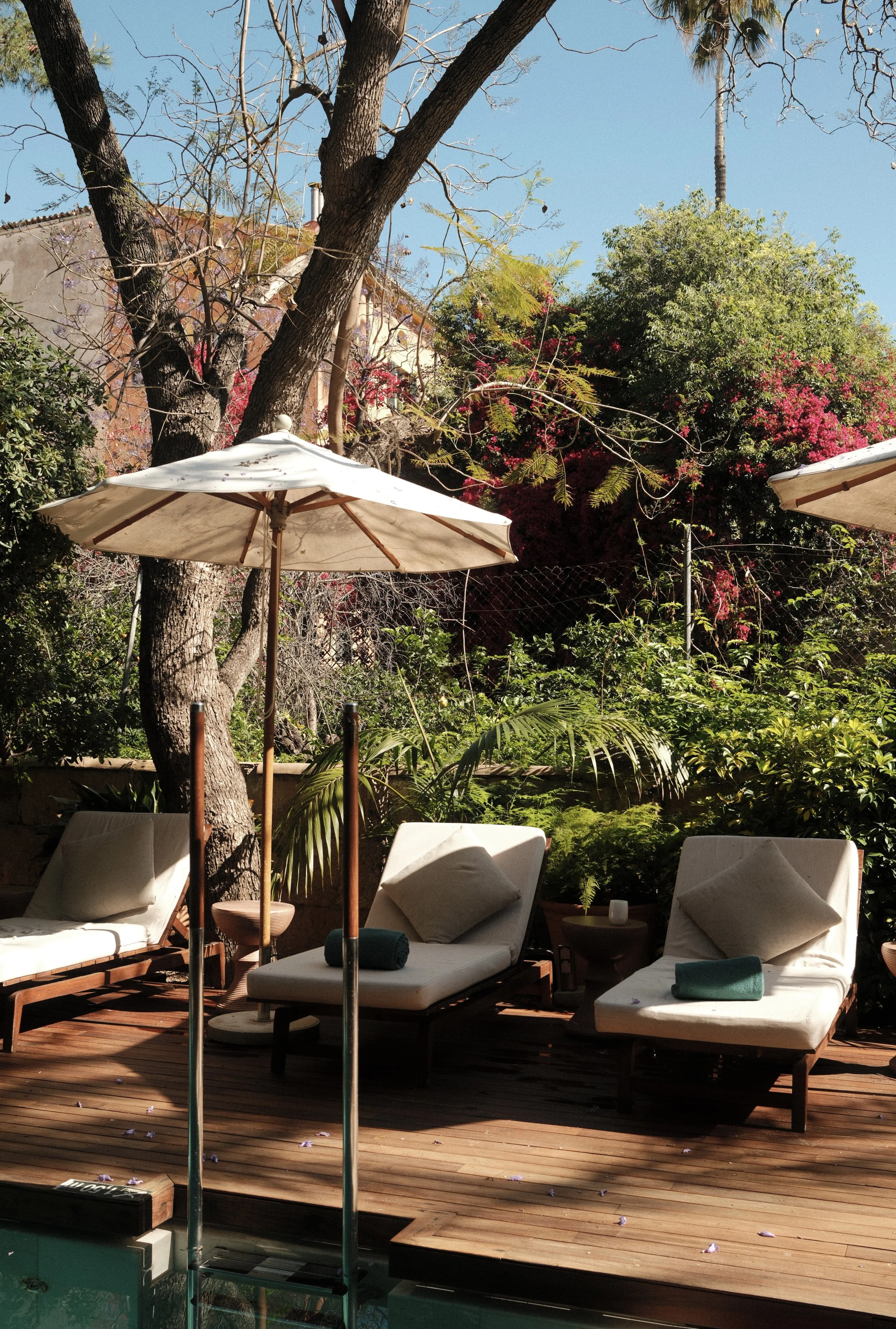 Sun loungers beside the garden pool at Can Bordoy Grand House & Garden in Mallorca