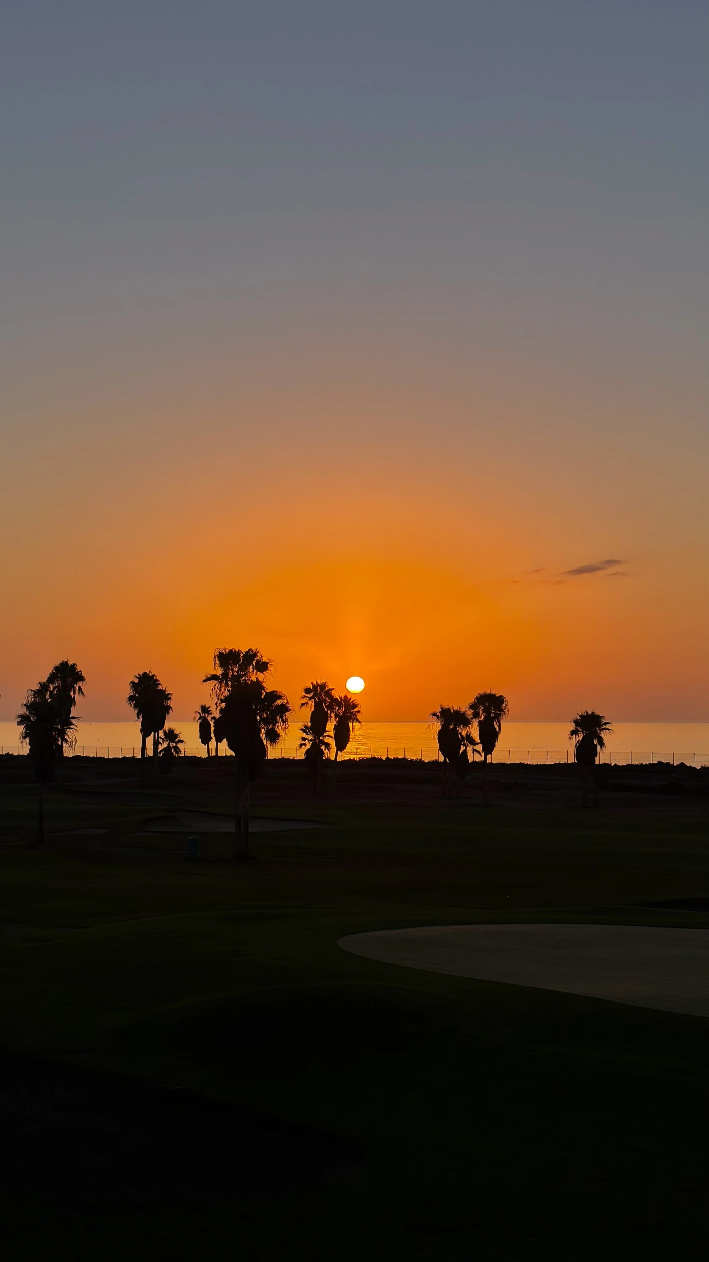 Golden Mediterranean sunset framed by palm trees and the coastal fairways