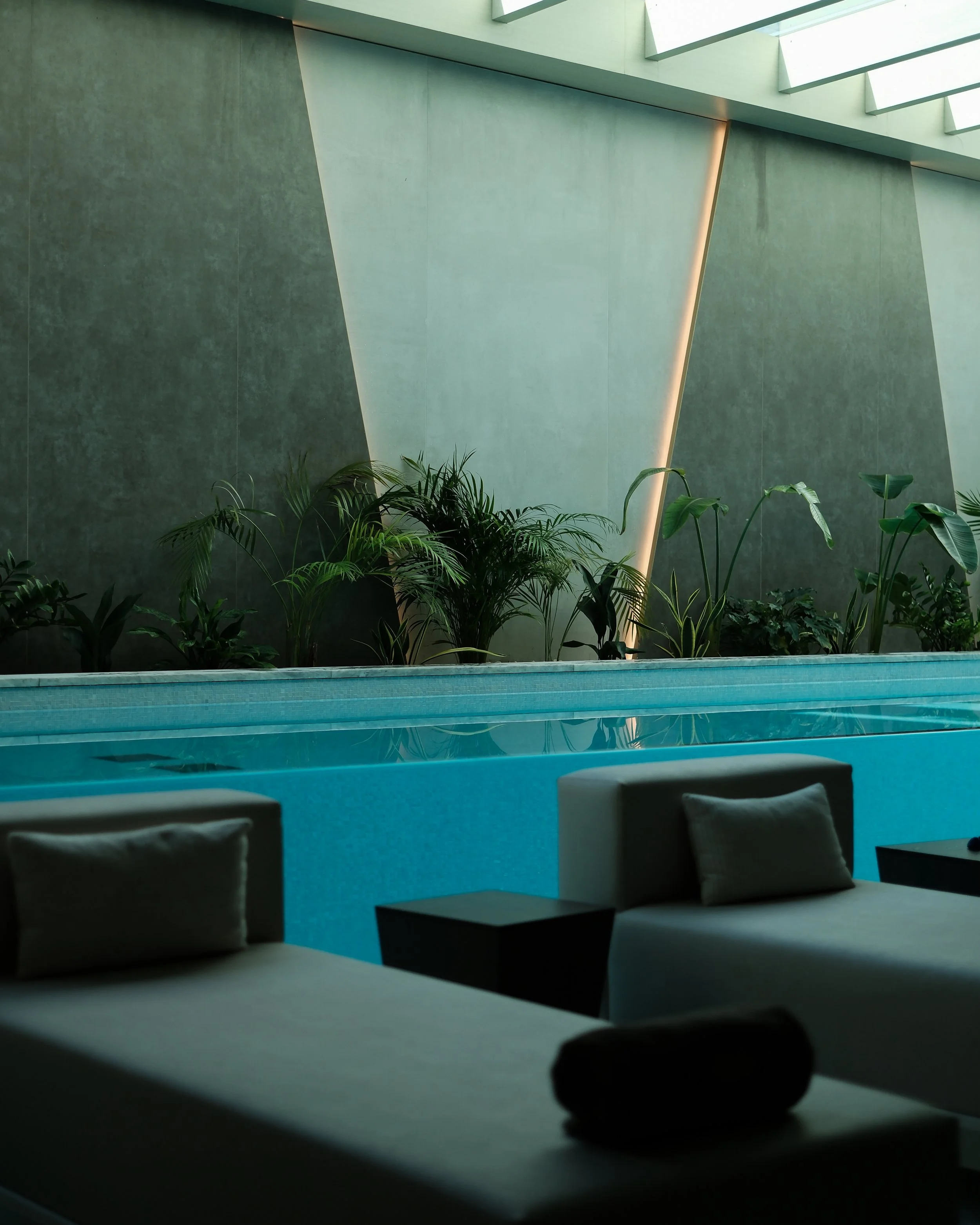 Indoor wellness pool surrounded by natural greenery and minimalist contemporary architecture