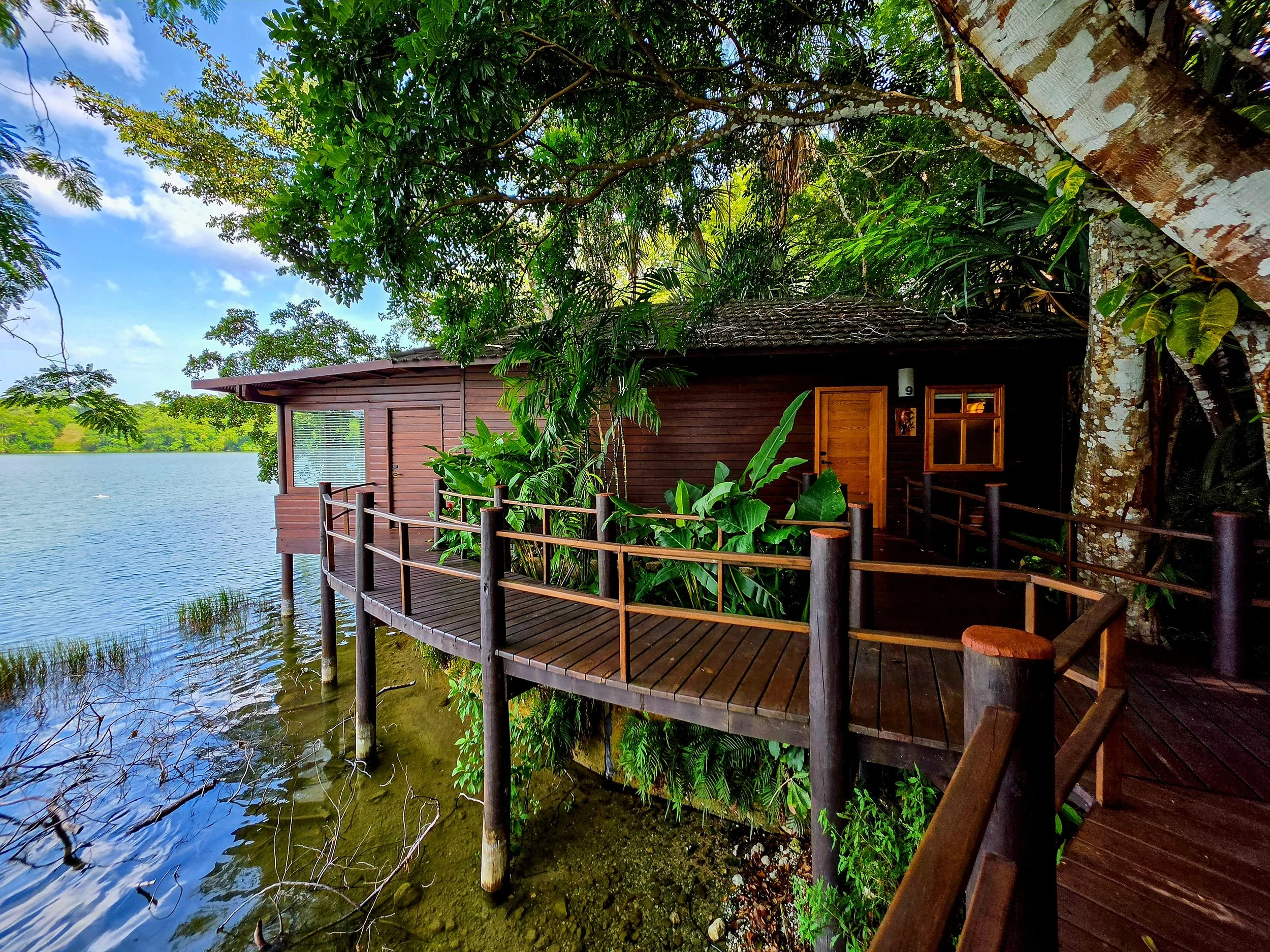Private waterfront suite surrounded by lush rainforest with direct lagoon access