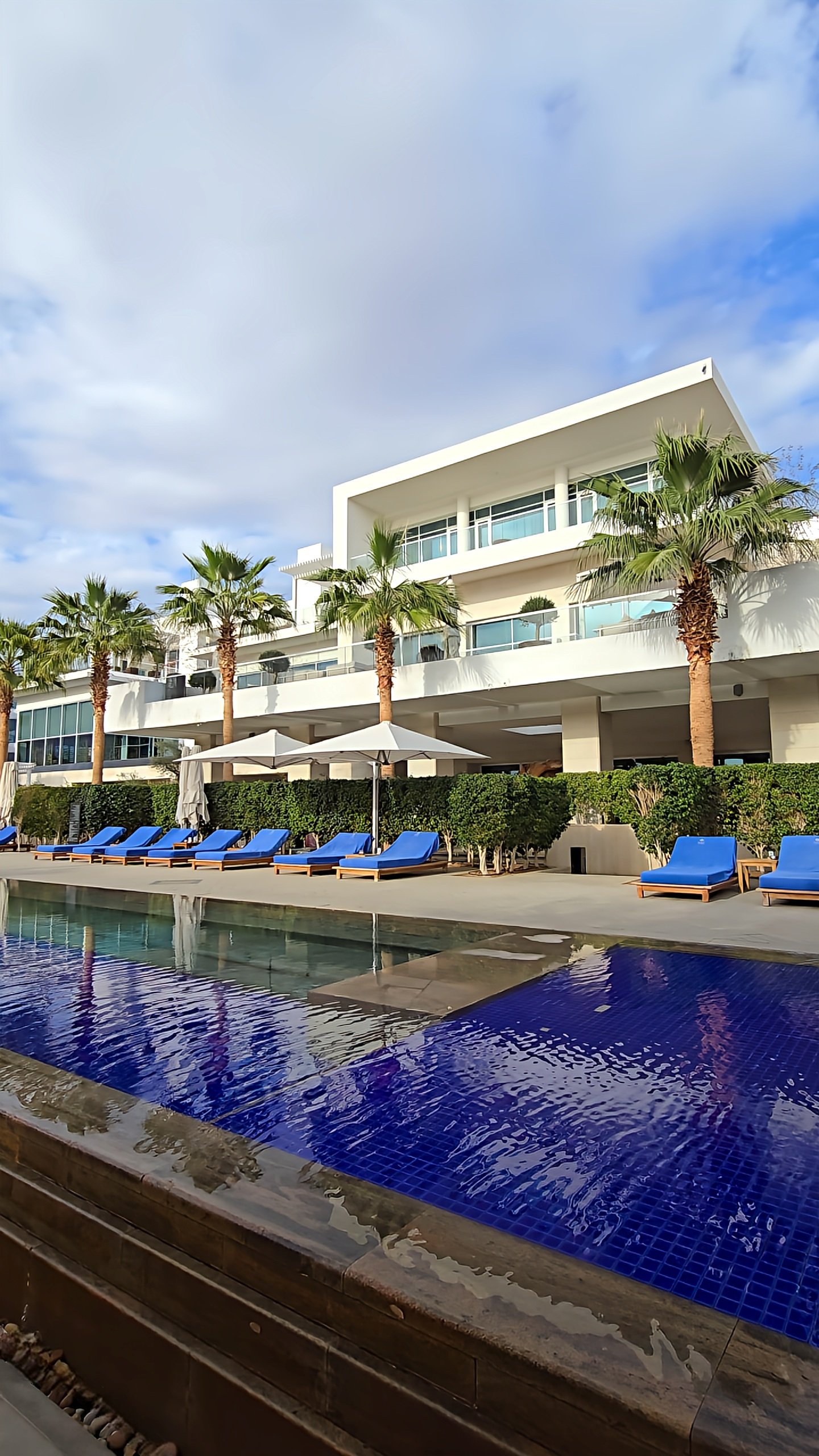 Luxury resort swimming pool surrounded by palm trees, sun loungers, and contemporary architecture