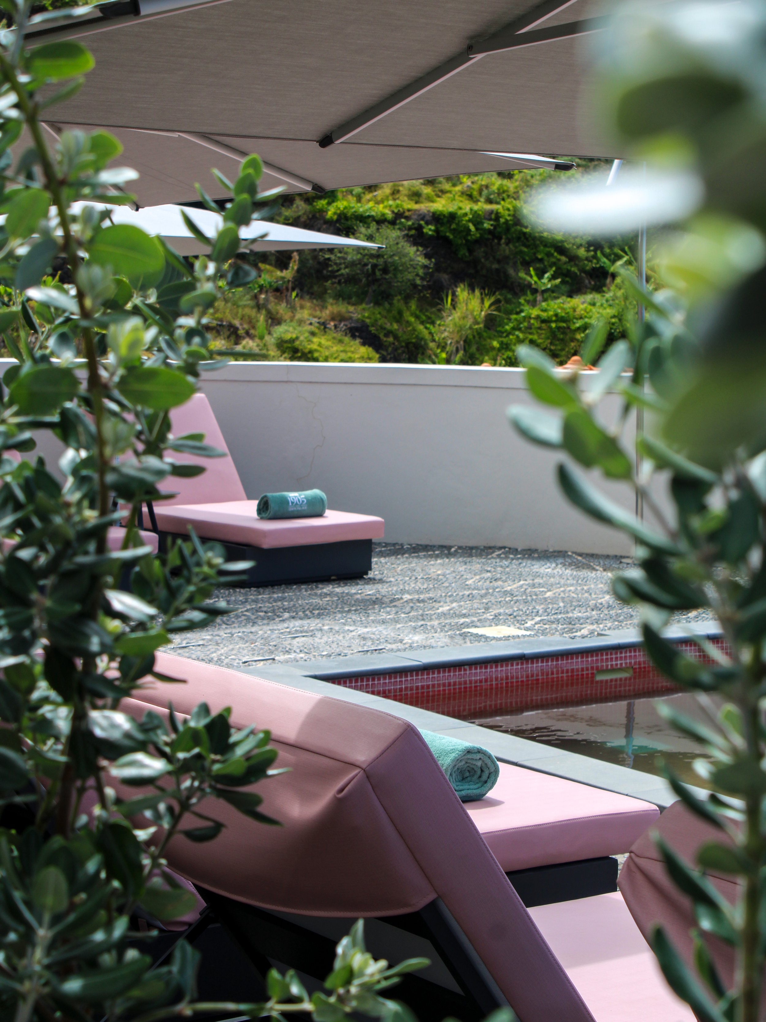 Peaceful poolside sun loungers surrounded by greenery, creating a relaxing outdoor retreat