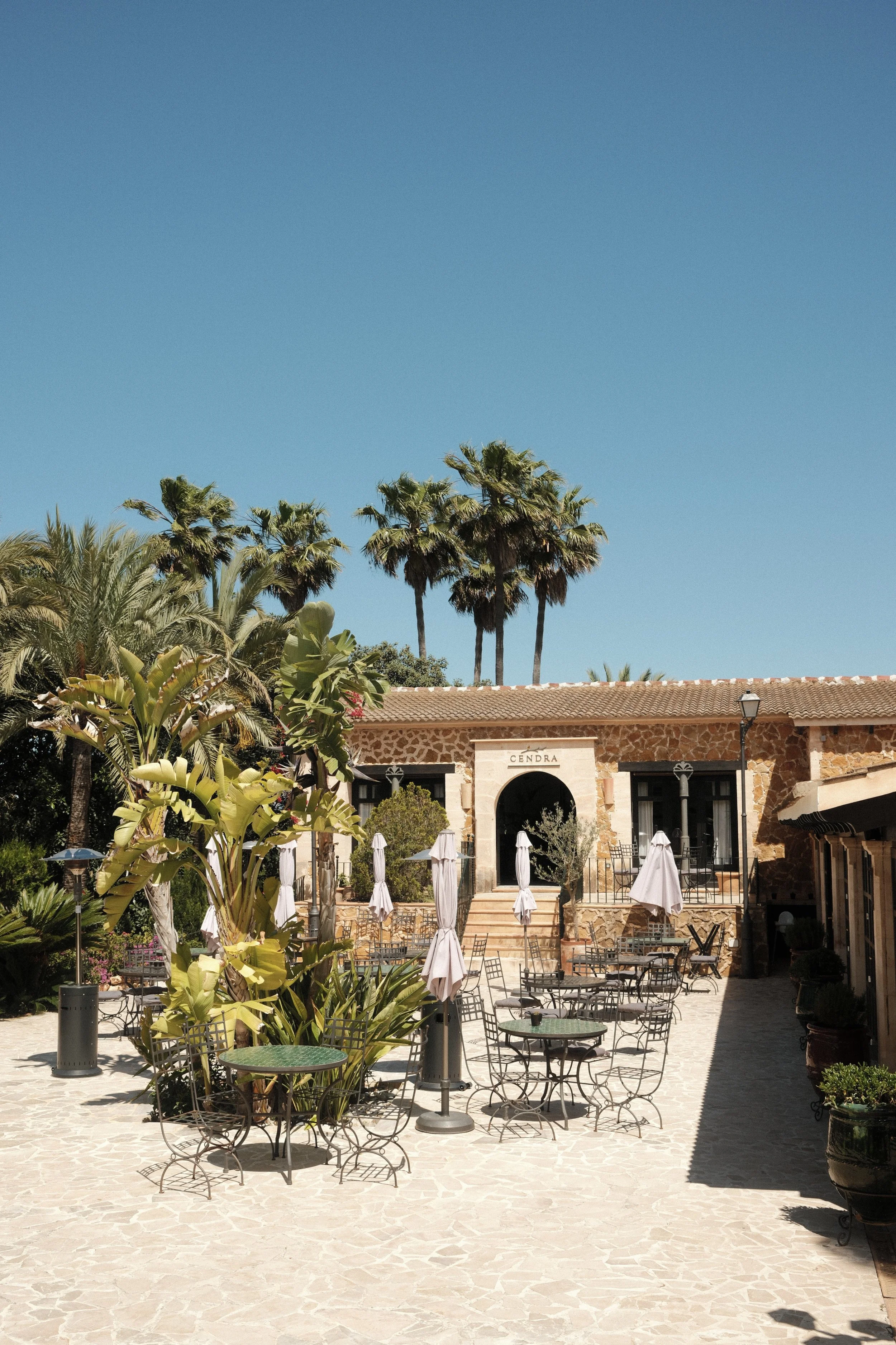 Sunny courtyard framed by palm trees at Son Molí Country House in Mallorca