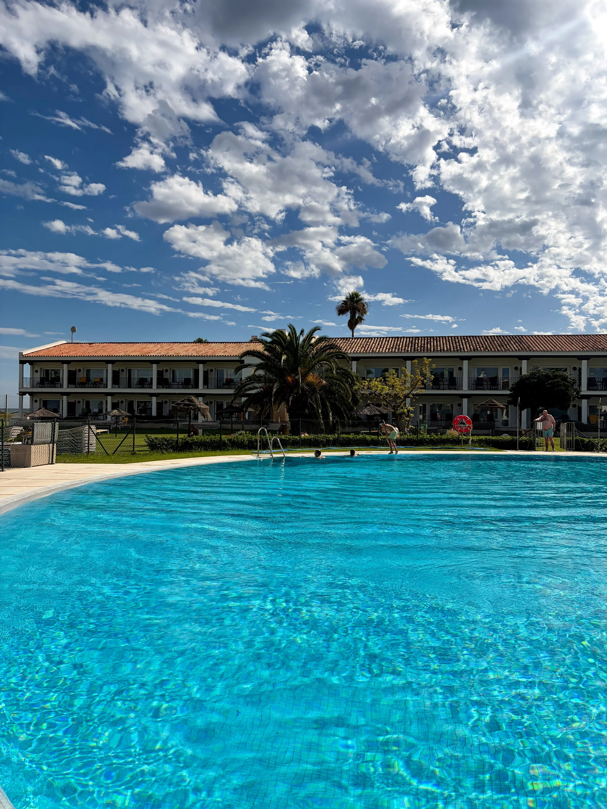 Large outdoor swimming pool framed by palm trees and whitewashed architecture