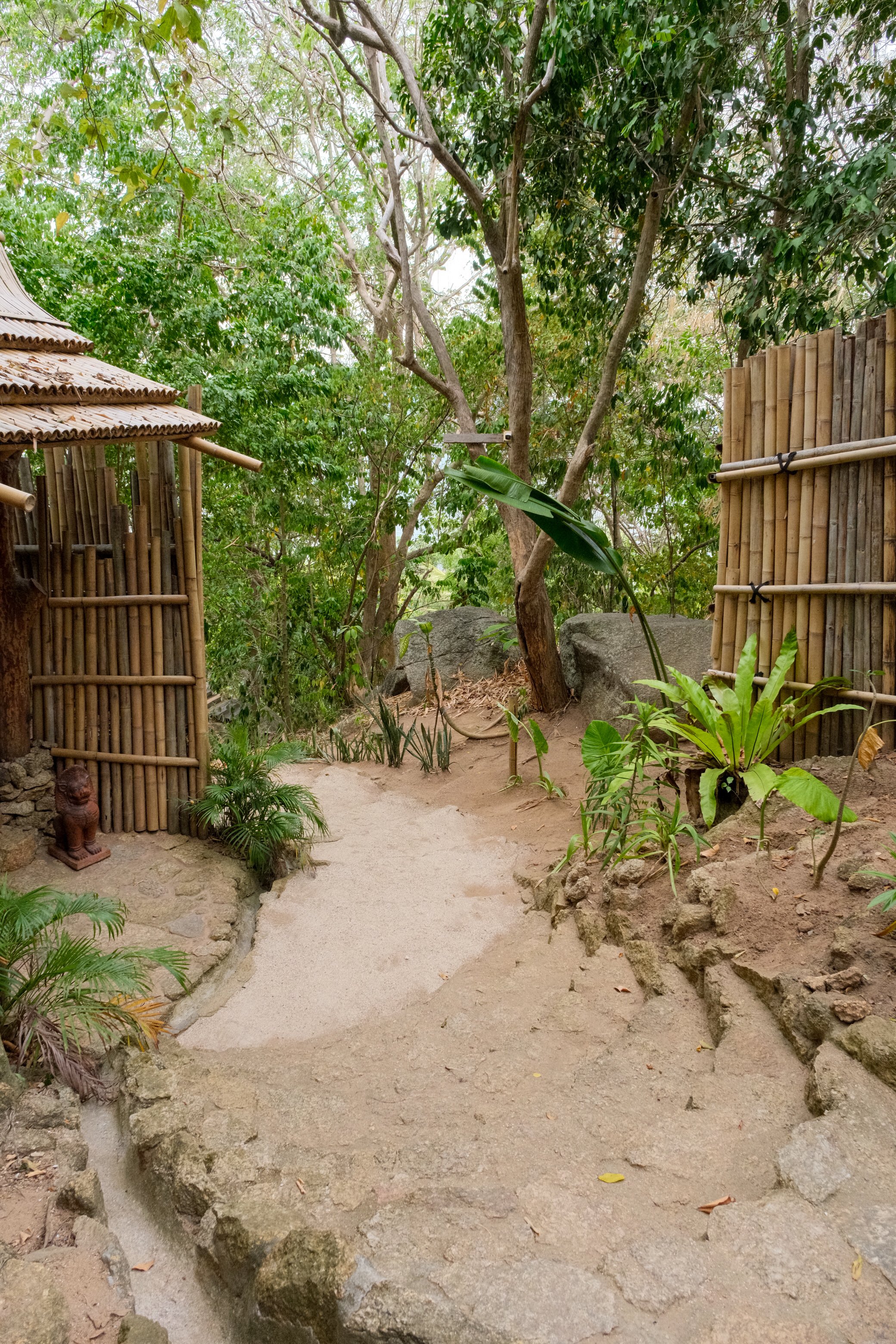 Secluded pathway winding between bamboo structures, tropical vegetation, and natural rock formations