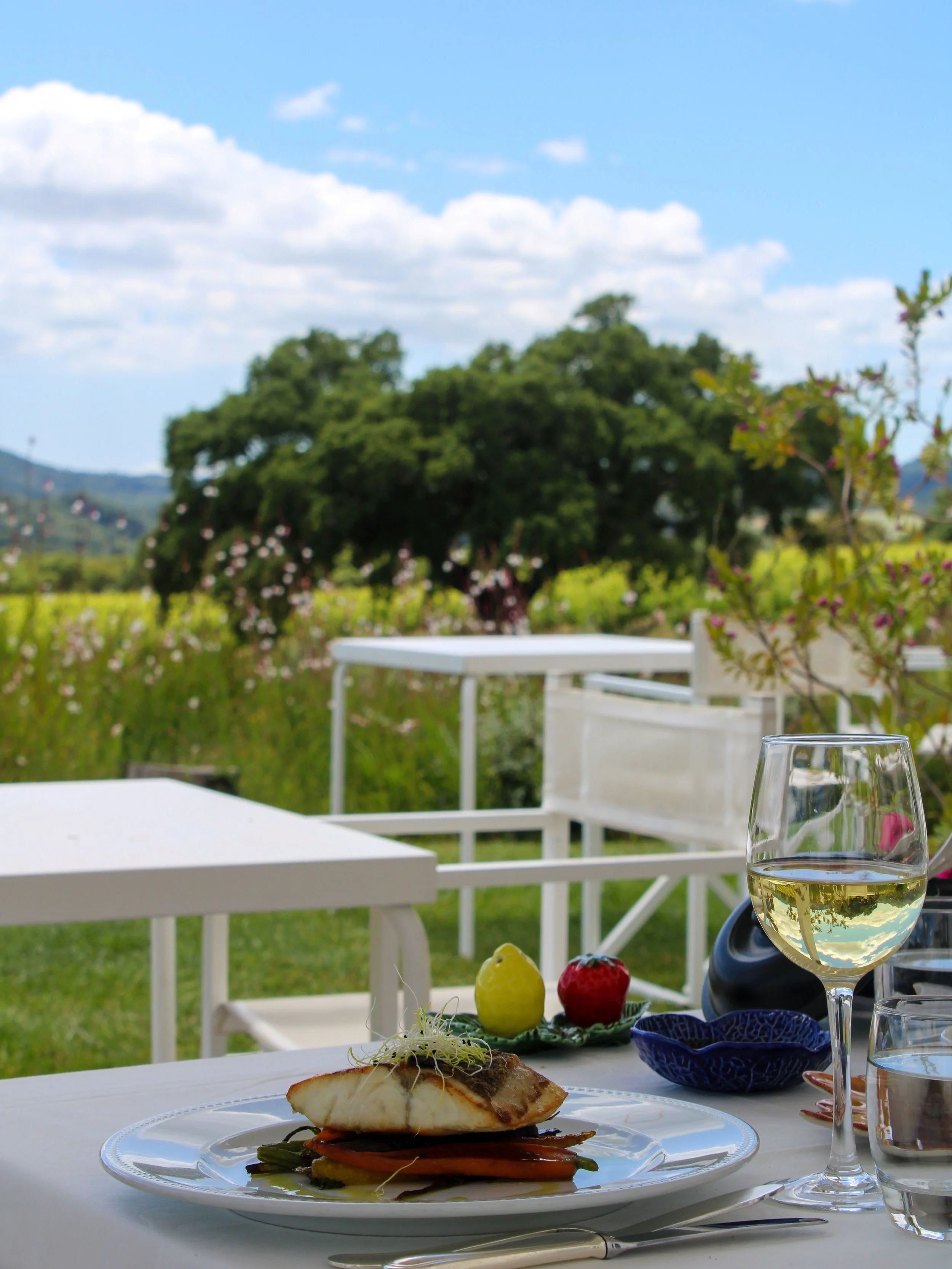 Fresh local cuisine served on the garden terrace overlooking vineyards and countryside