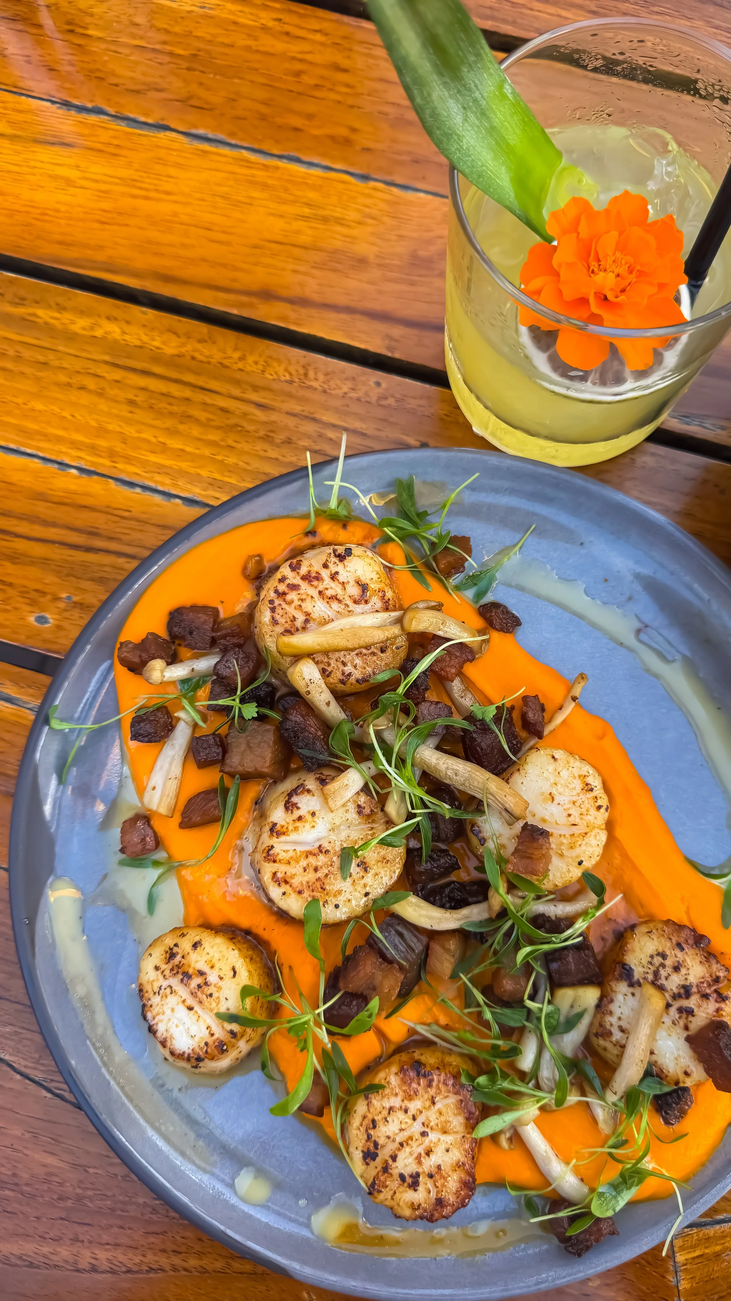 Seared scallops dish with vibrant purée, mushrooms, and microgreens paired with a signature cocktail, Hotel Republic San Diego – San Diego, California.