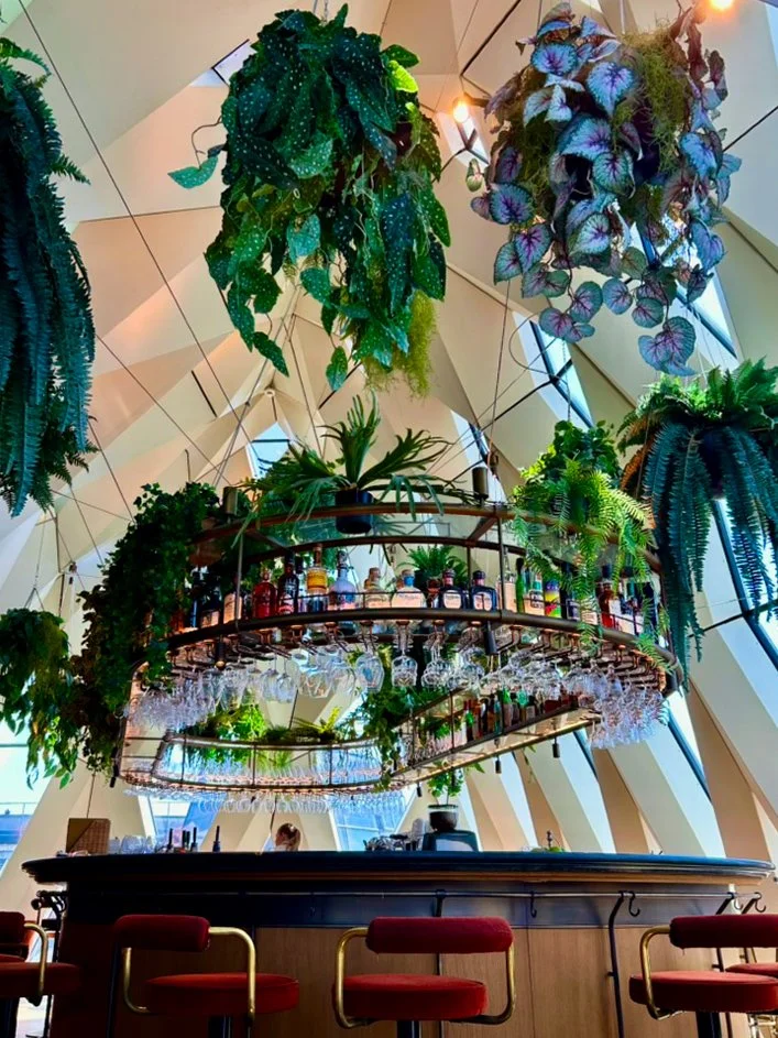 Signature rooftop bar surrounded by hanging greenery and striking architecture