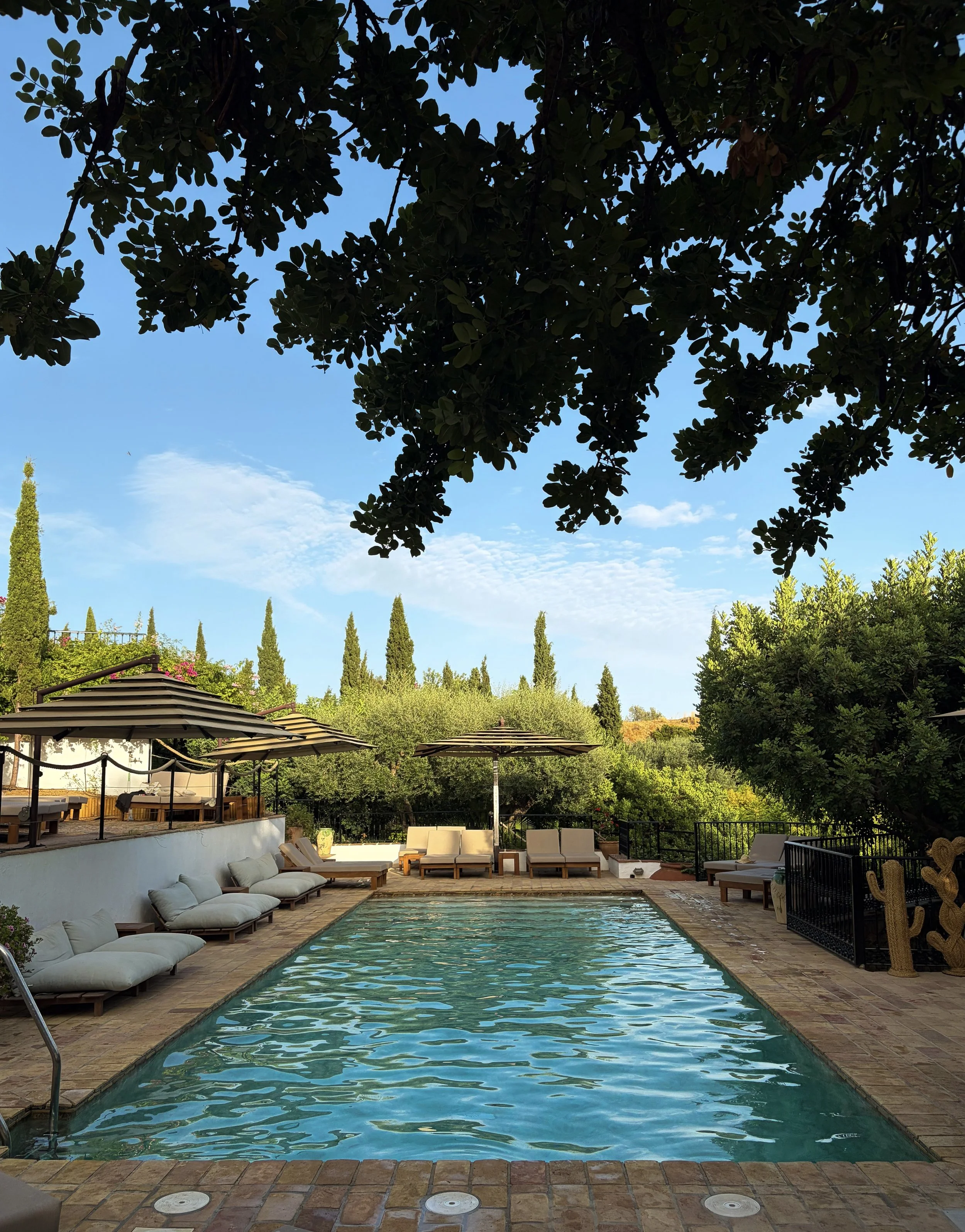 Outdoor swimming pool surrounded by lush greenery and shaded relaxation areas