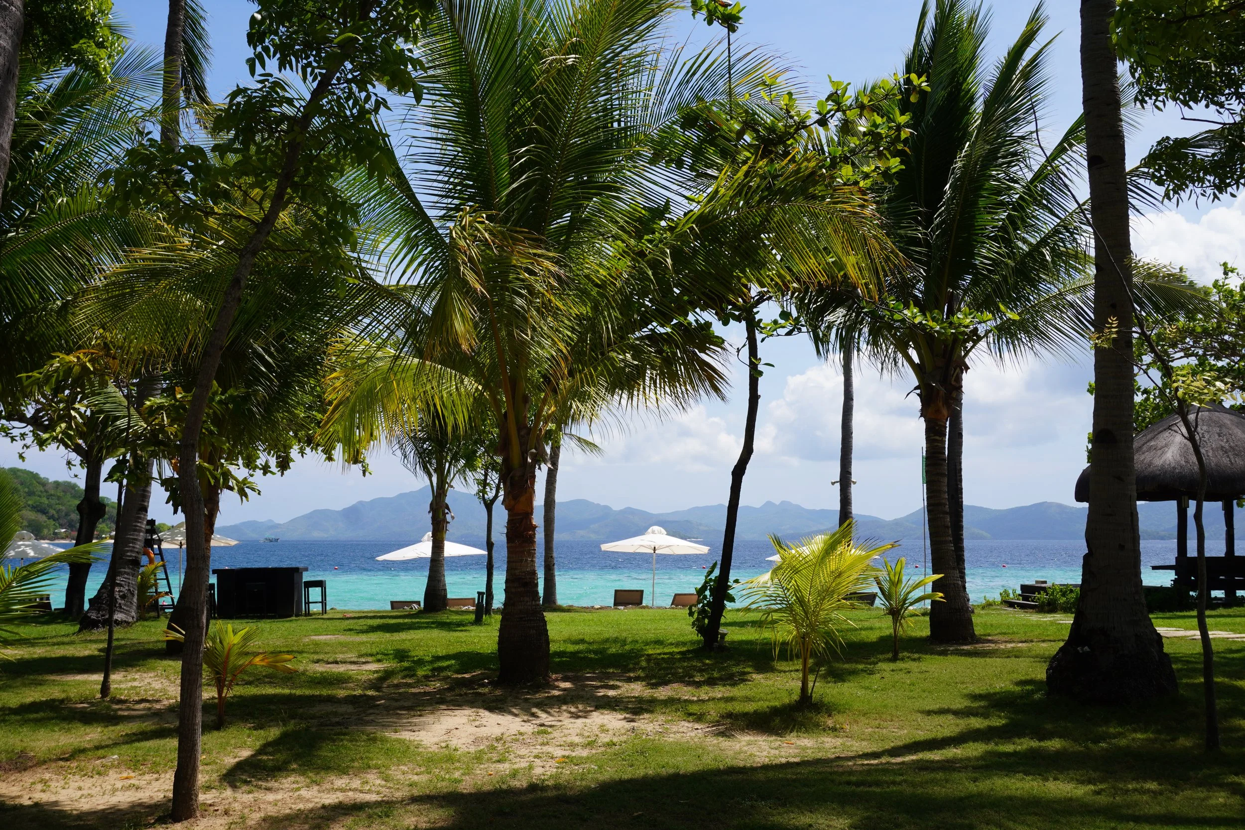 Beachfront coconut grove with crystal-clear waters and mountain views