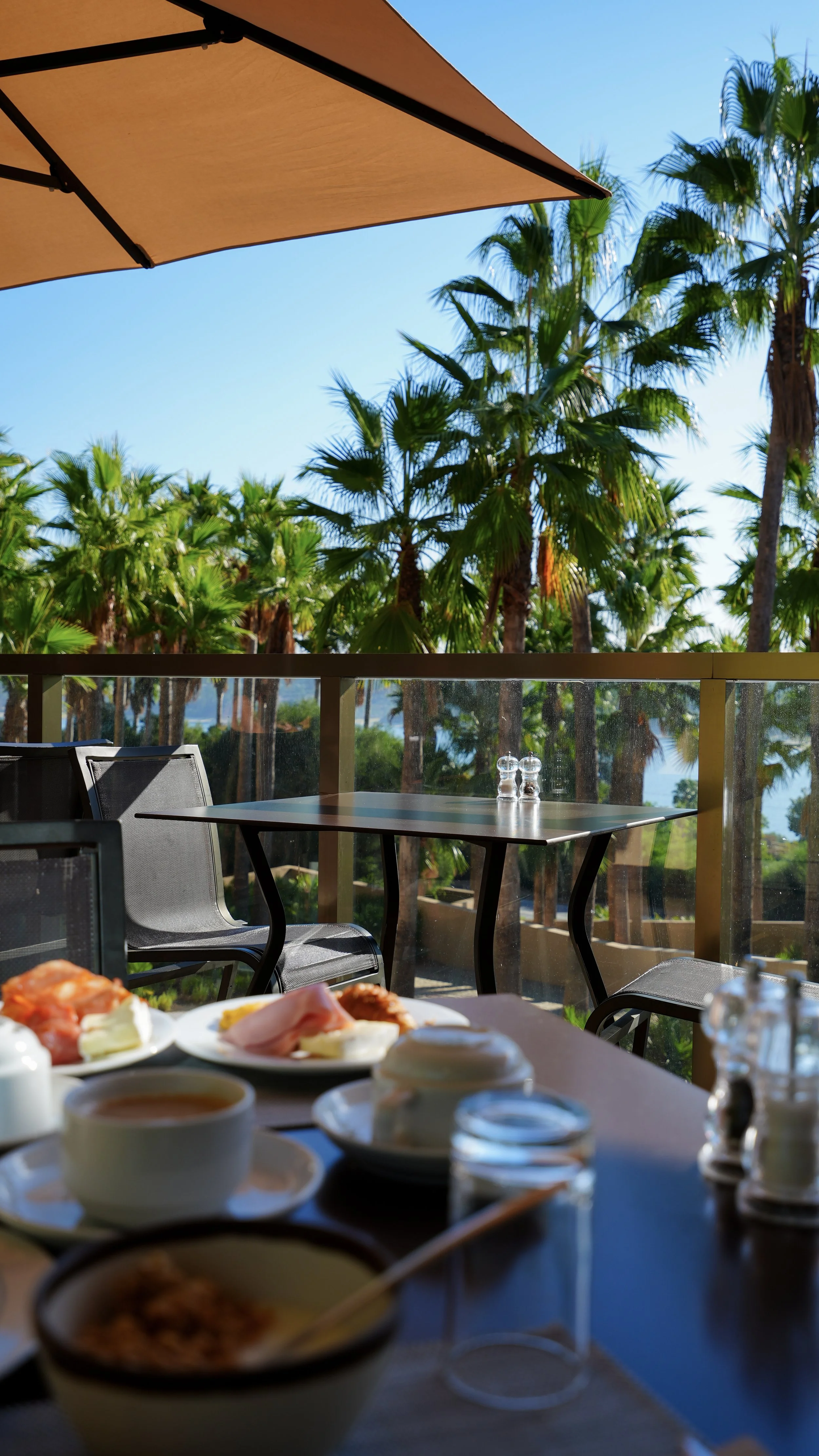 Outdoor breakfast terrace overlooking lush palm trees and the surrounding lakeside landscape