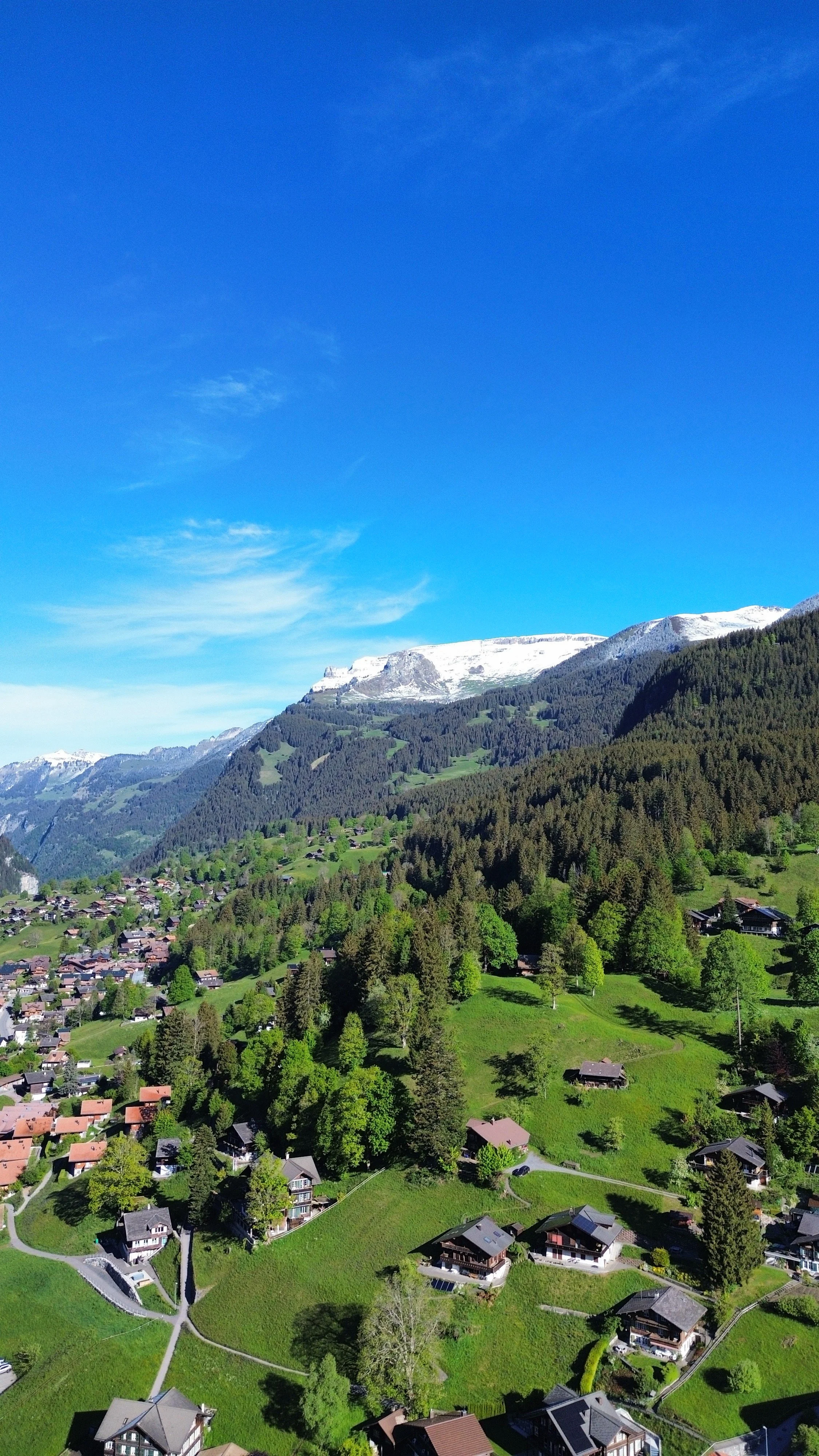 Aerial panorama of Grindelwald surrounded by rolling green meadows, traditional chalets, and majestic Swiss Alps