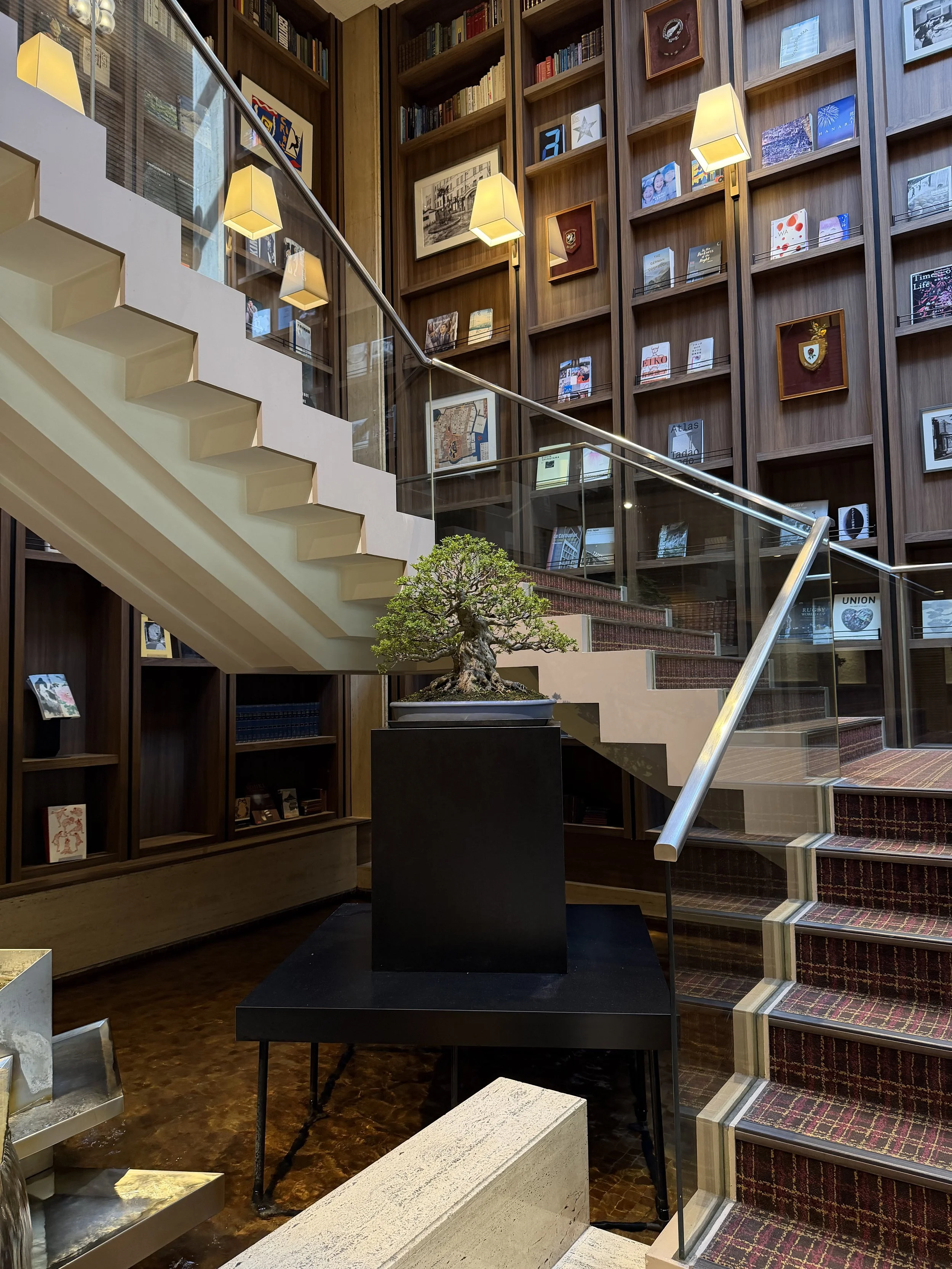 Library staircase with a bonsai tree, glass railings, warm lighting, and towering wooden bookshelves