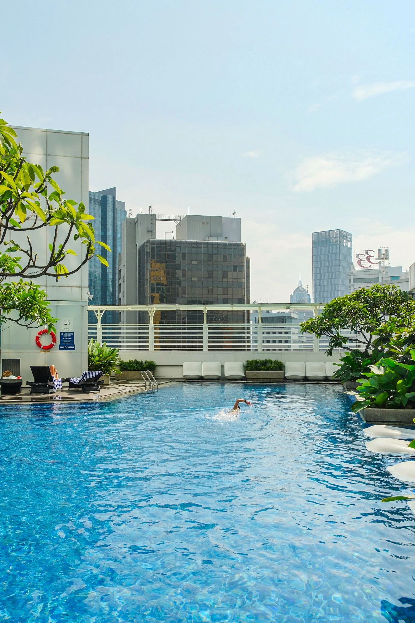 Rooftop swimming pool surrounded by tropical greenery and city views