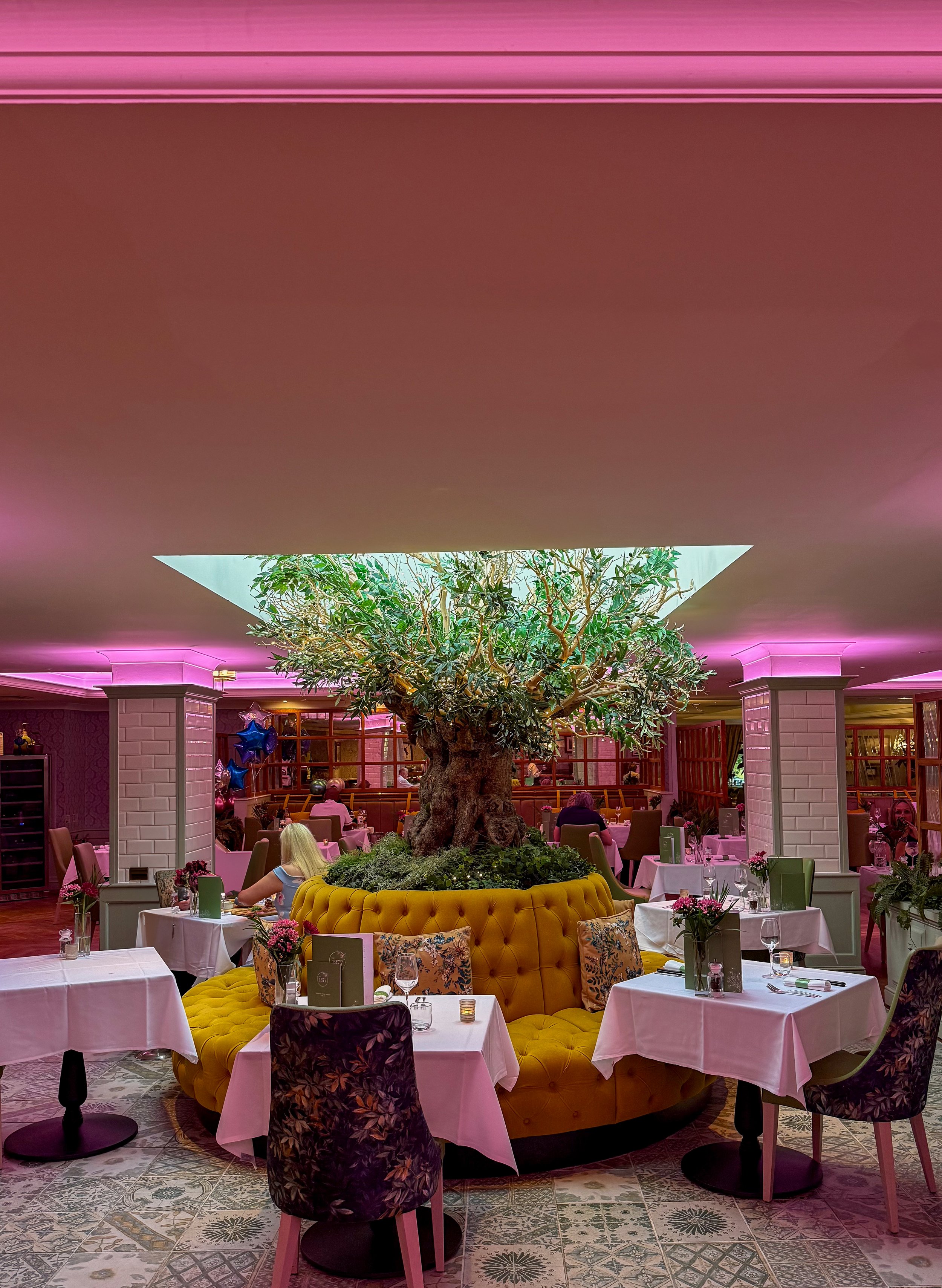 Elegant restaurant centred around a striking olive tree beneath ambient evening lighting