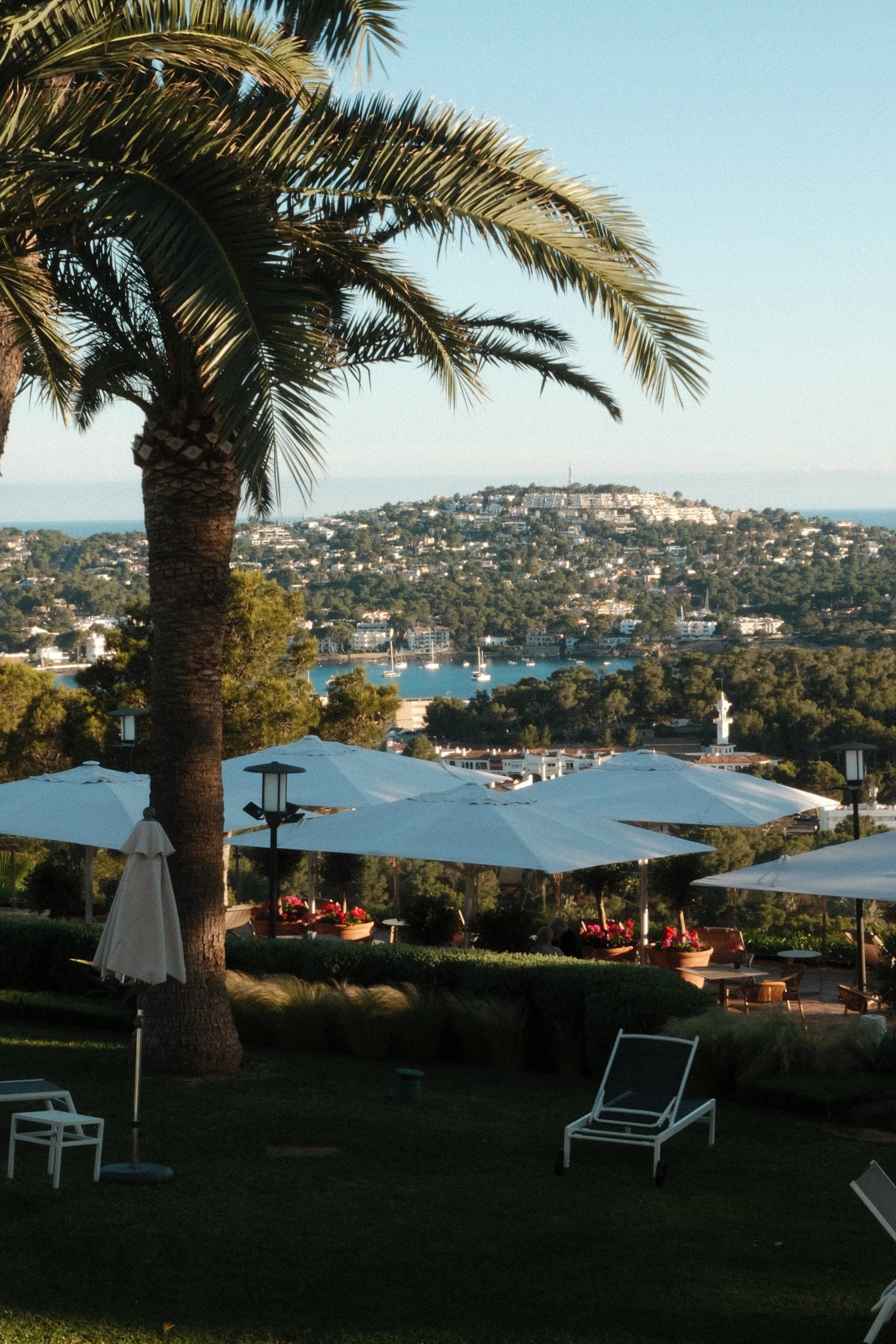 Elevated garden terraces with palm trees and panoramic bay views at Hilton Mallorca Galatzo, Mallorca
